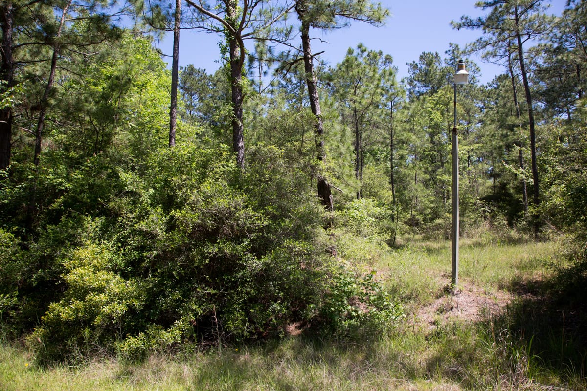 Rayburn Country Tract 8 photo 7