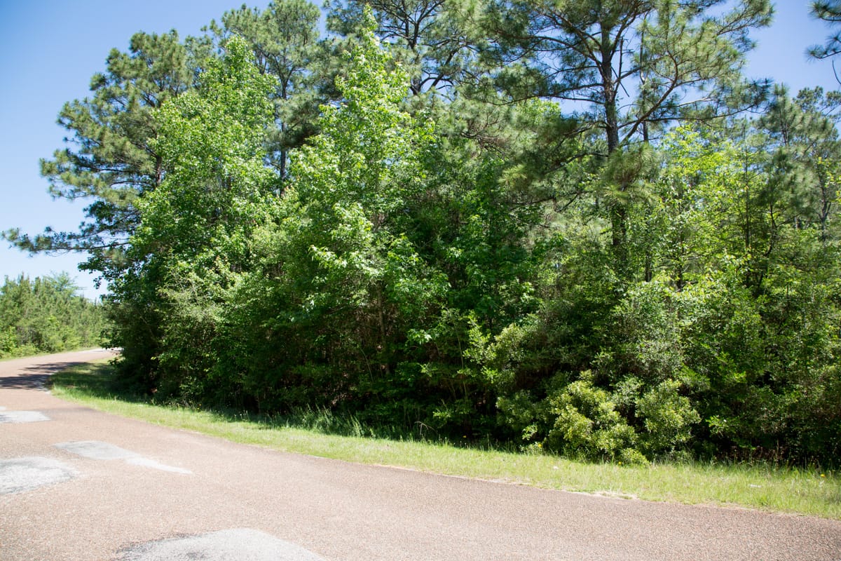 Rayburn Country Tract 8 photo 8