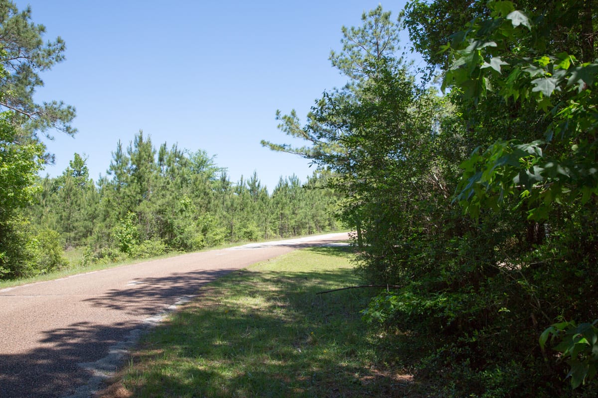 Rayburn Country Tract 8 photo 9