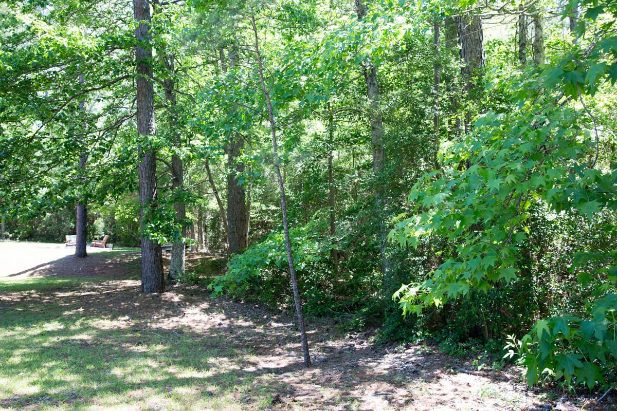 Rayburn Country Tract 8 photo 12
