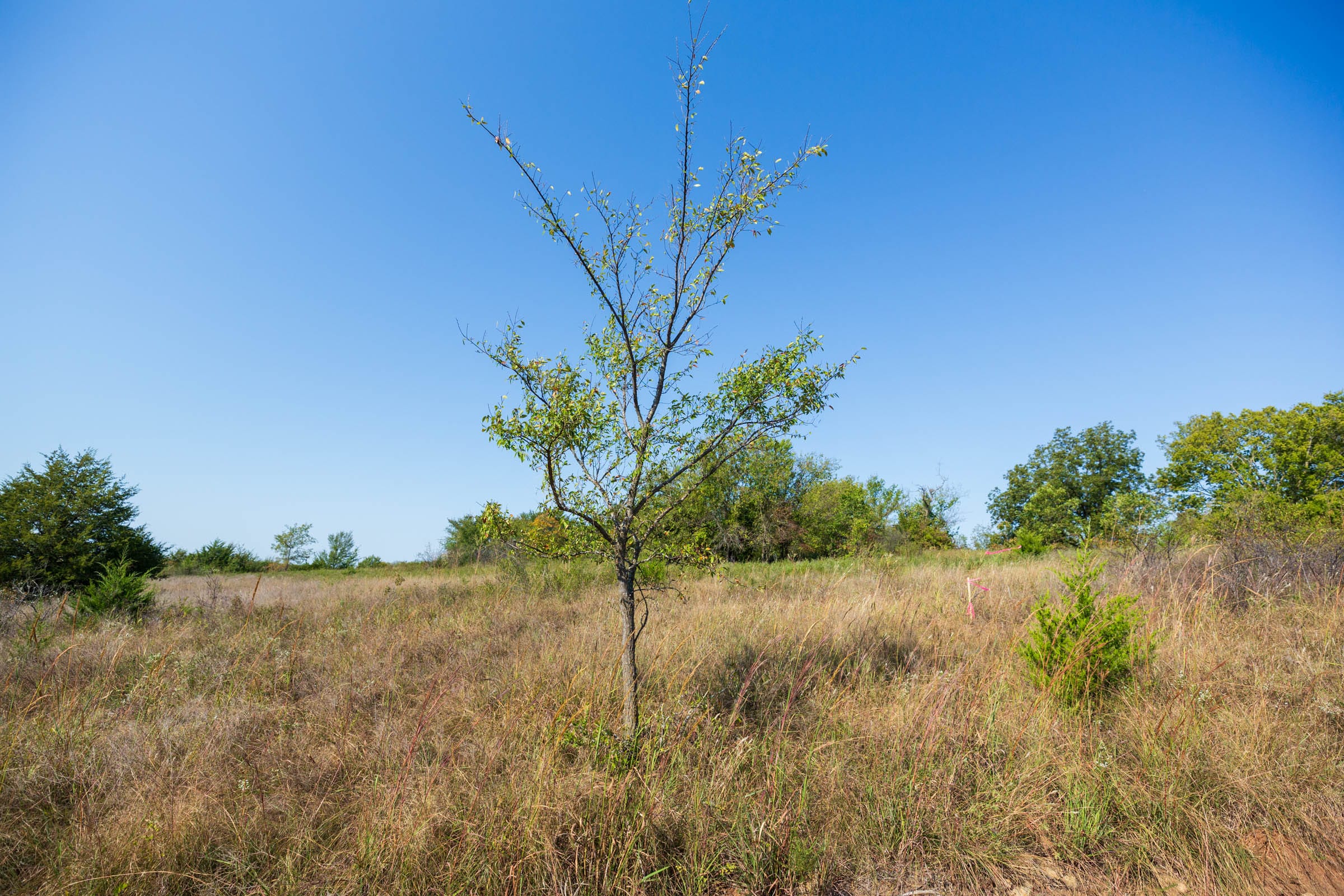 Canyon Creek Tract 12 photo 2