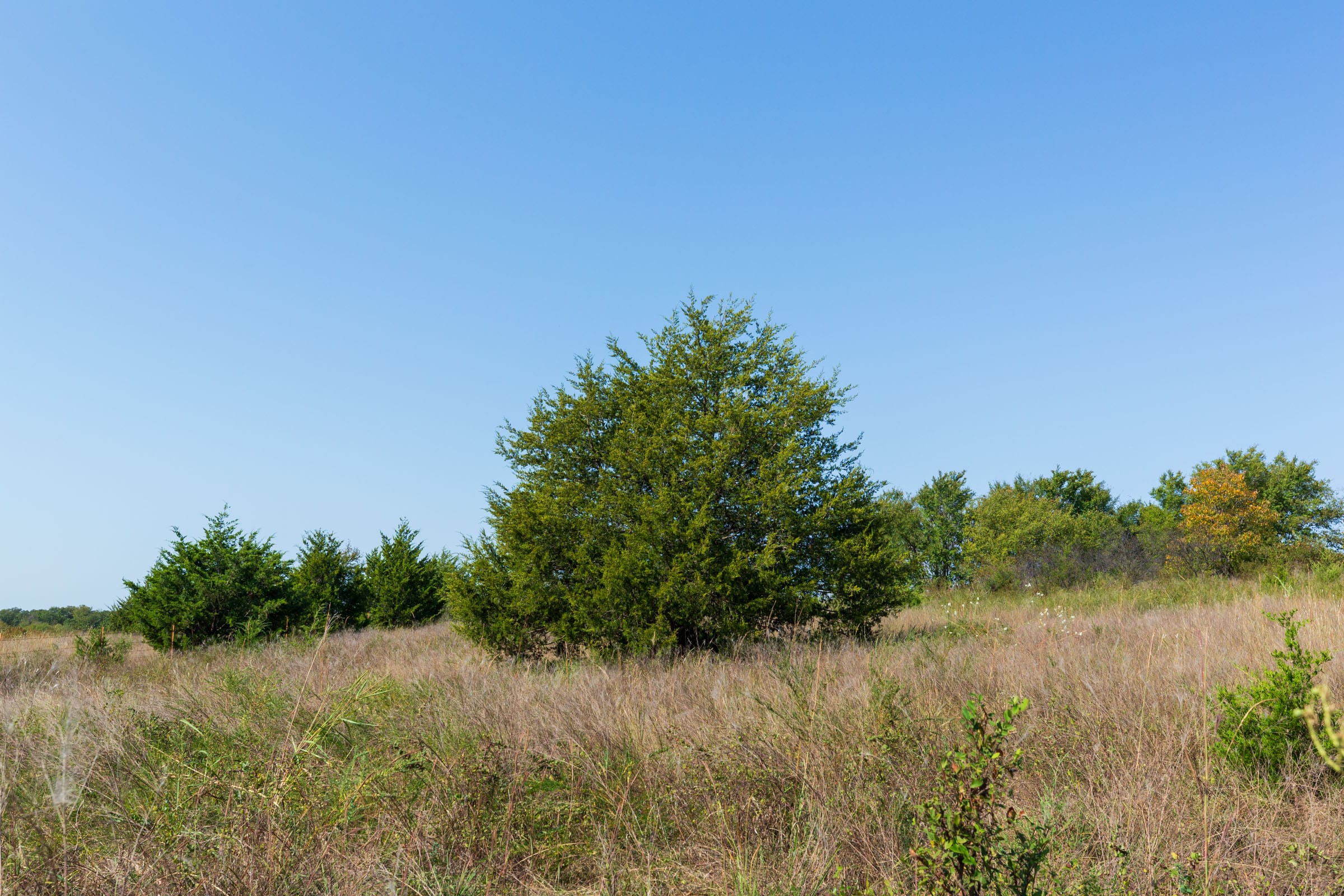 Canyon Creek Tract 12 photo 3