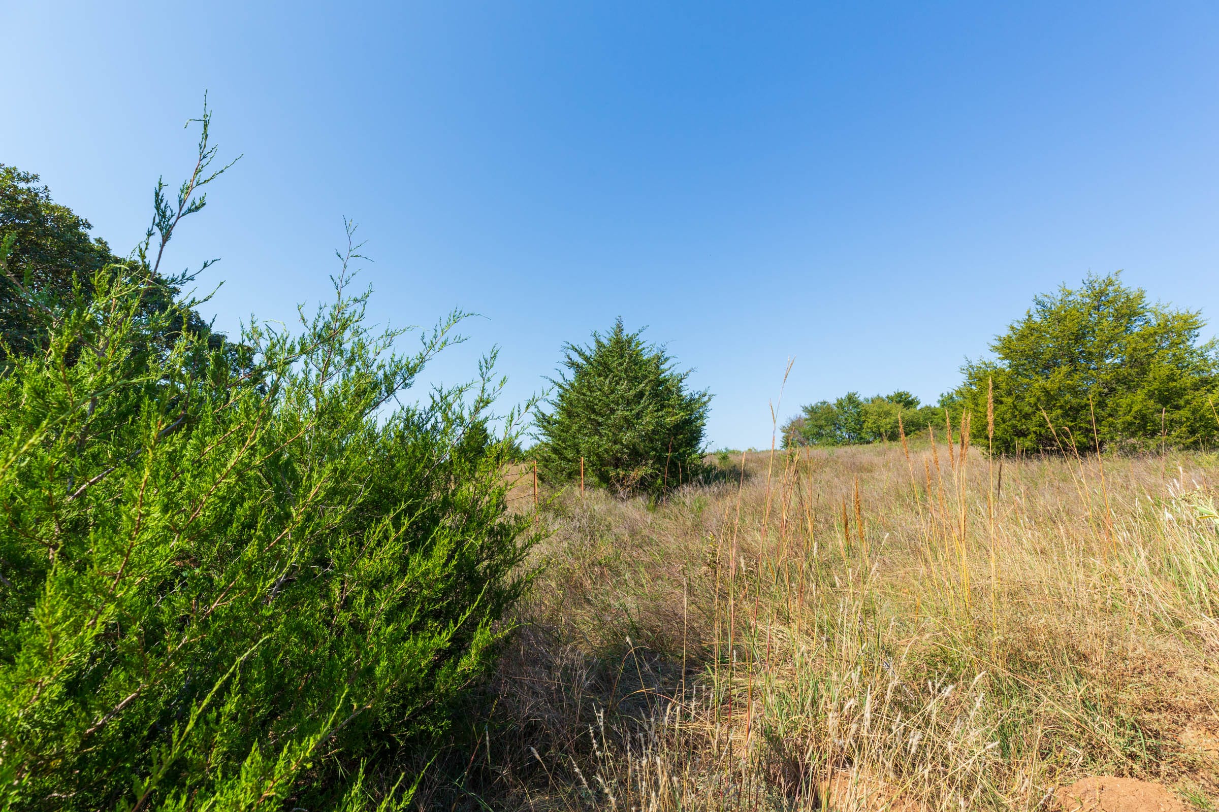 Canyon Creek Tract 12 photo 6
