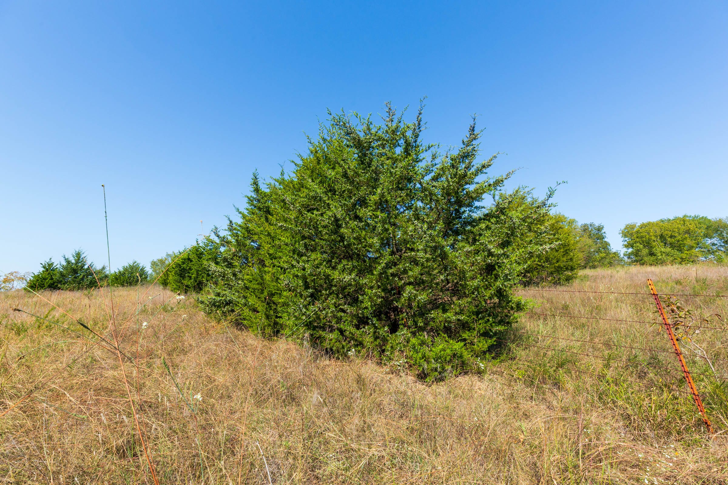 Canyon Creek Tract 12 photo 8