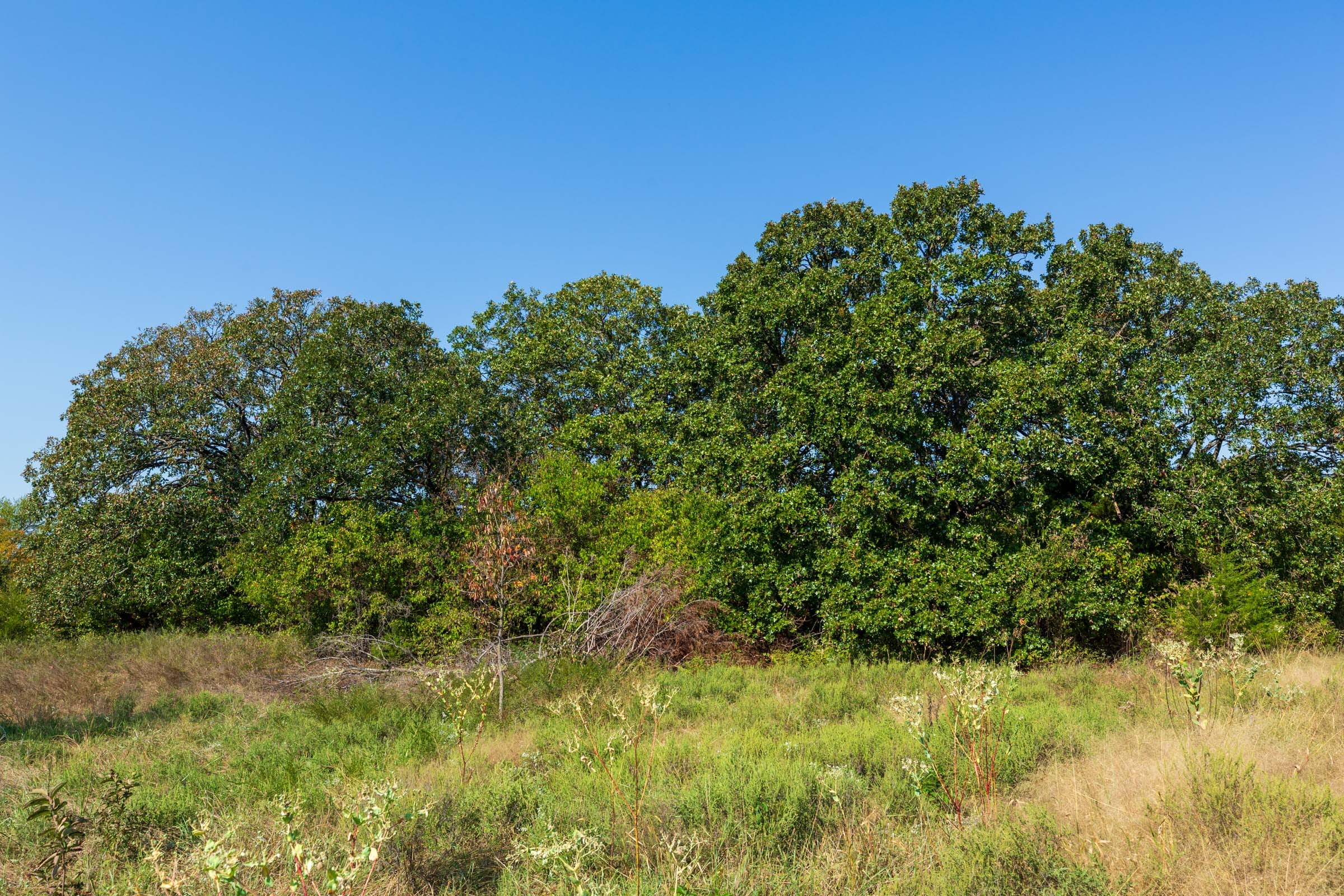 Canyon Creek Tract 12 photo 4