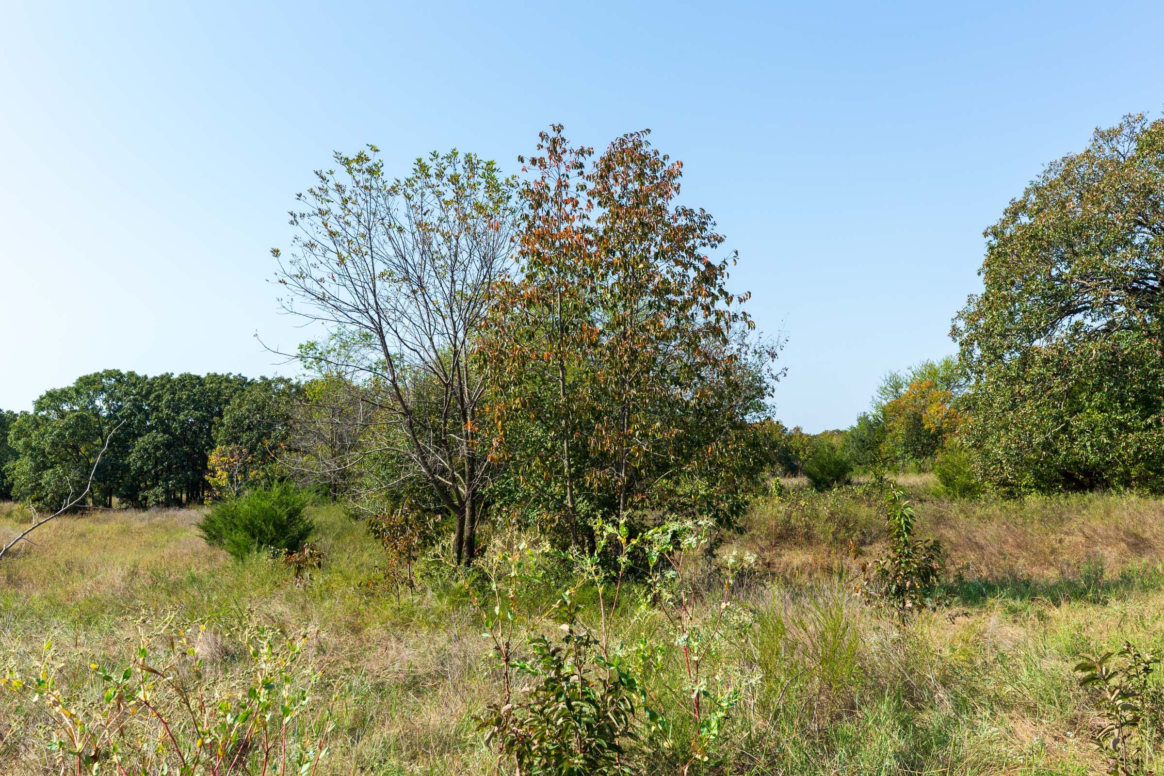 Canyon Creek Tract 12 photo 13