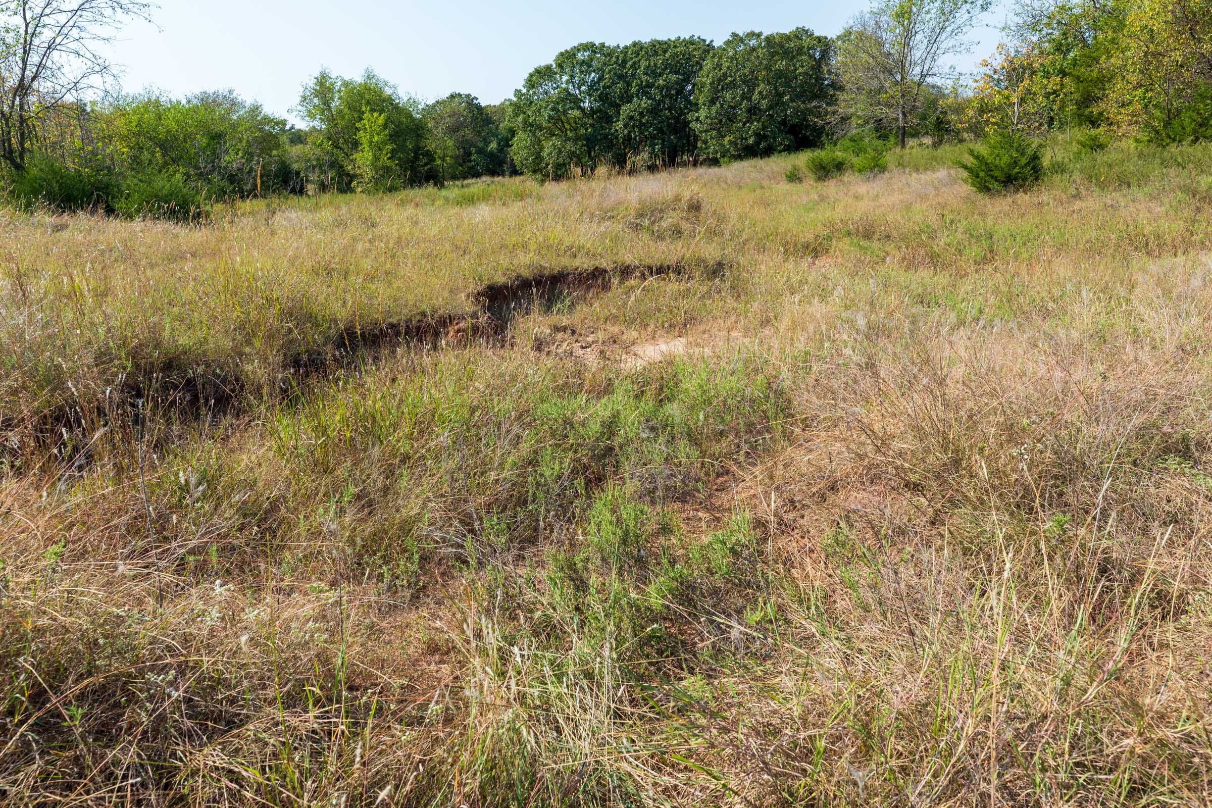 Canyon Creek Tract 12 photo 11