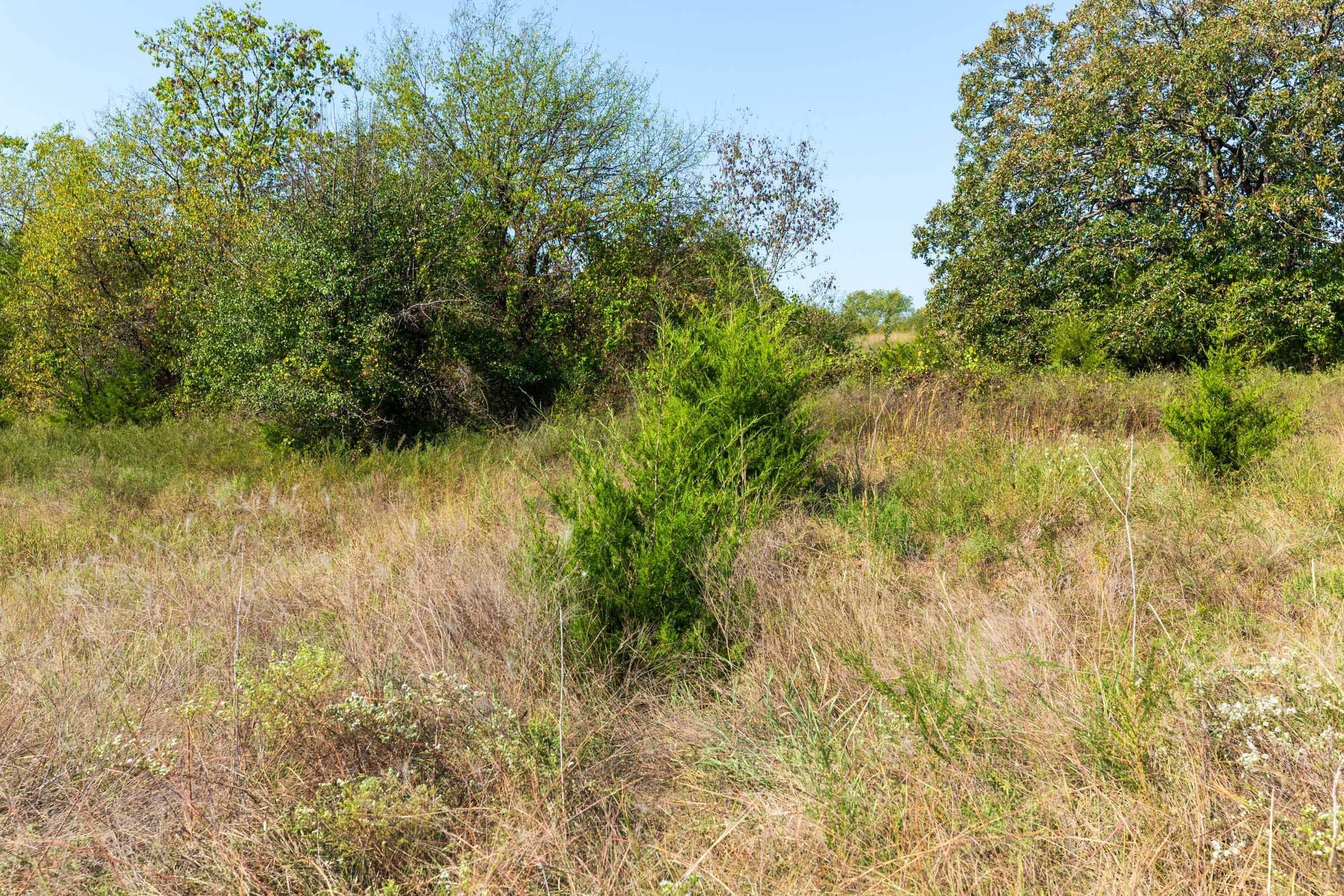 Canyon Creek Tract 12 photo 9