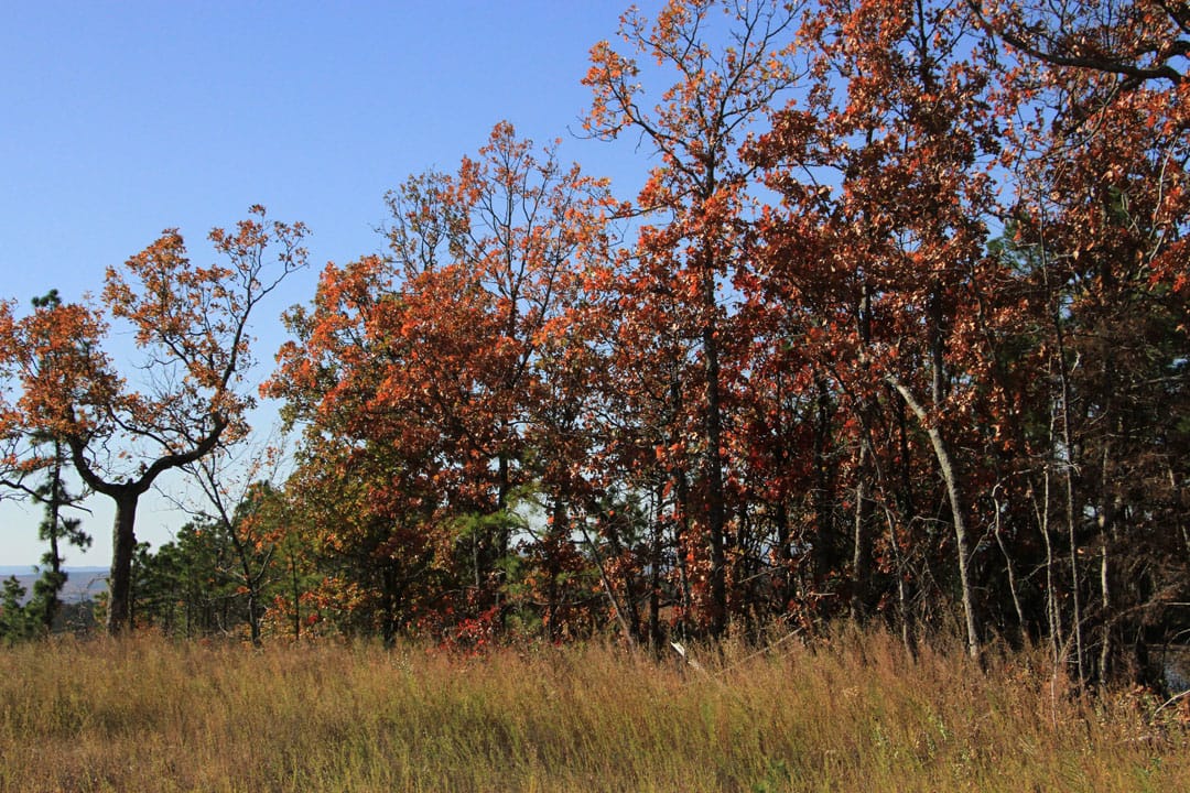 Stone Creek Phase III Tract 68 photo 7