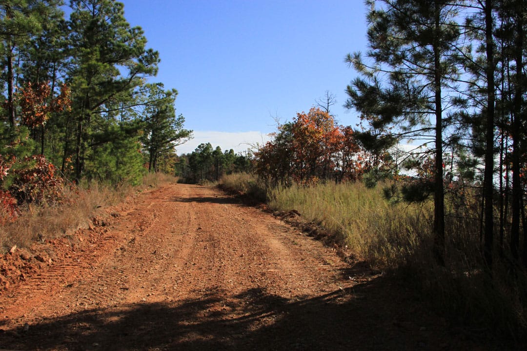 Stone Creek Phase III Tract 68 photo 2