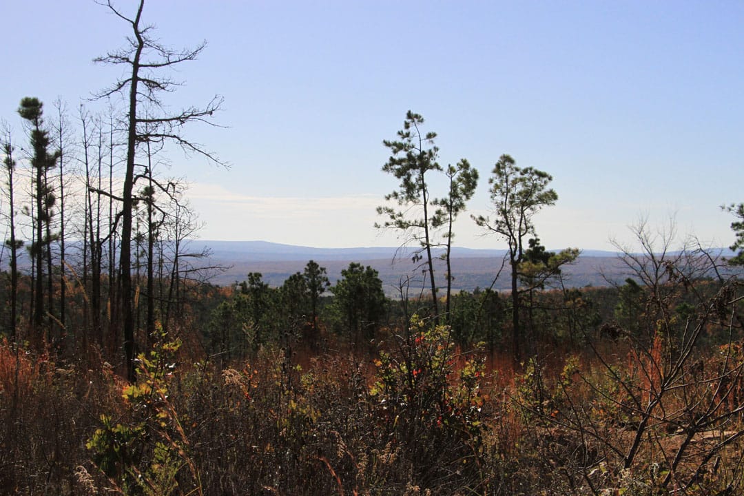 Stone Creek Phase III Tract 68 photo 9