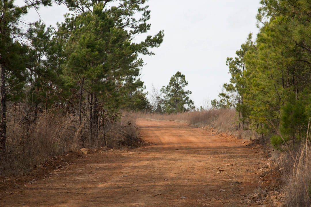 Stone Creek Phase III Tract 68 photo 4