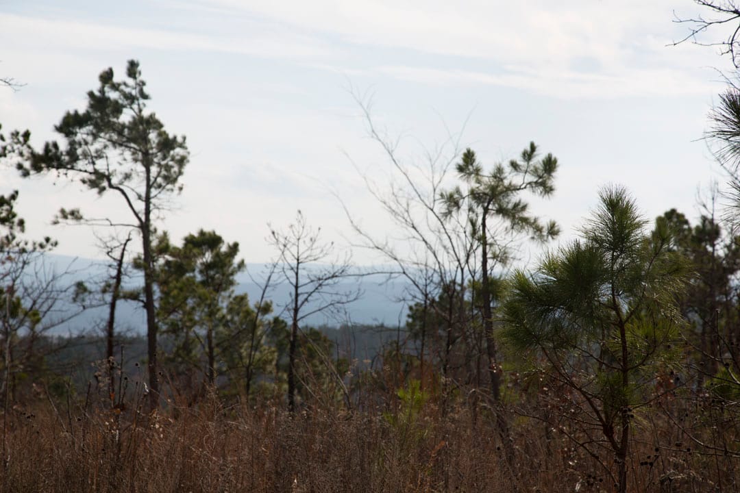 Stone Creek Phase III Tract 68 photo 11