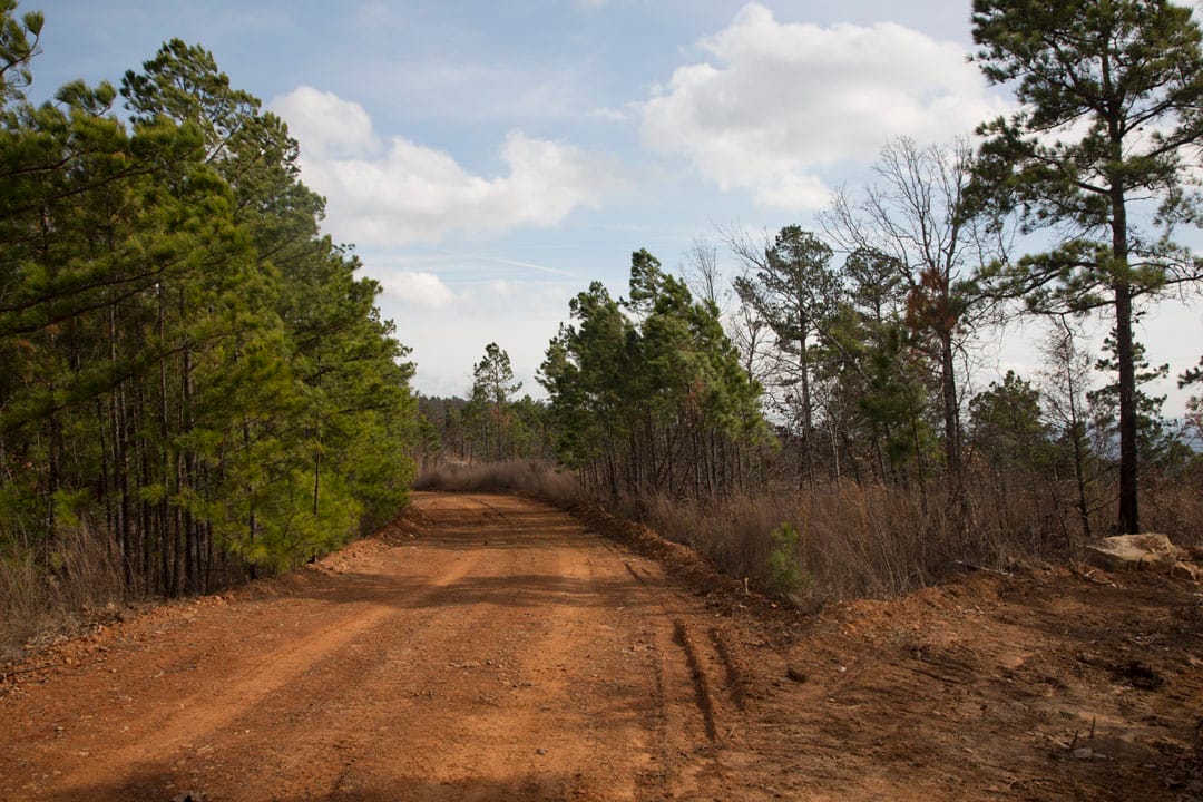 Stone Creek Phase III Tract 68 photo 6