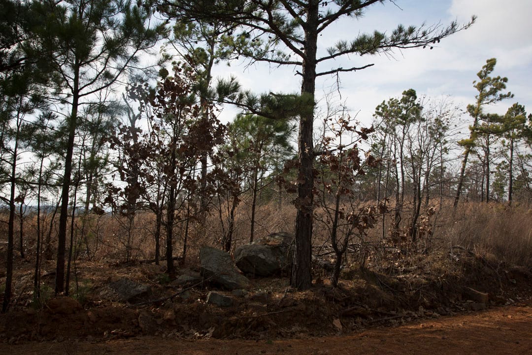 Stone Creek Phase III Tract 68 photo 12