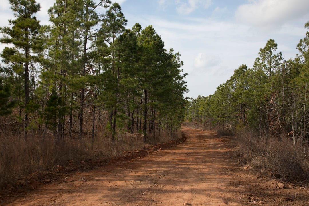 Stone Creek Phase III Tract 68 photo 8