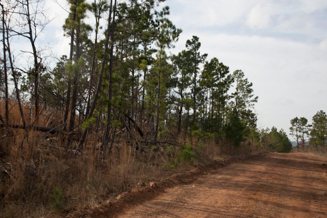 Stone Creek Phase III Tract 68 photo 10