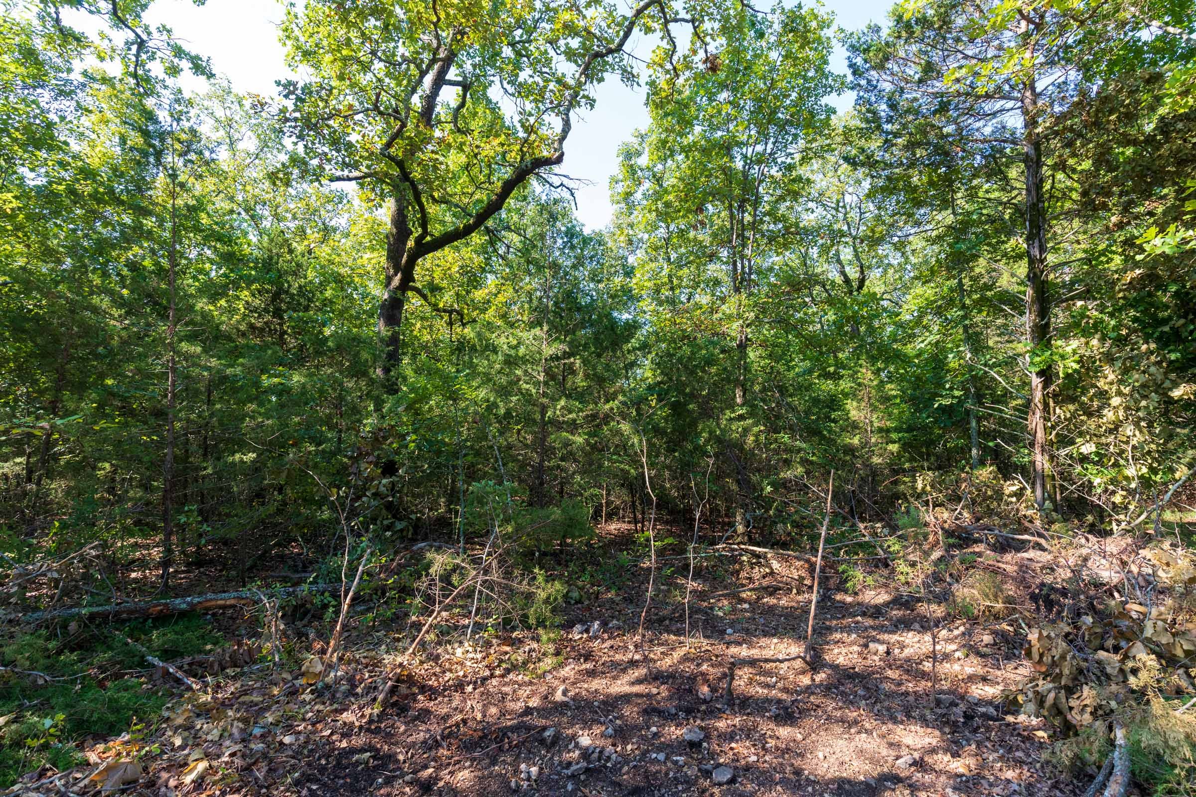 Heritage Bend Tract 16 photo 4