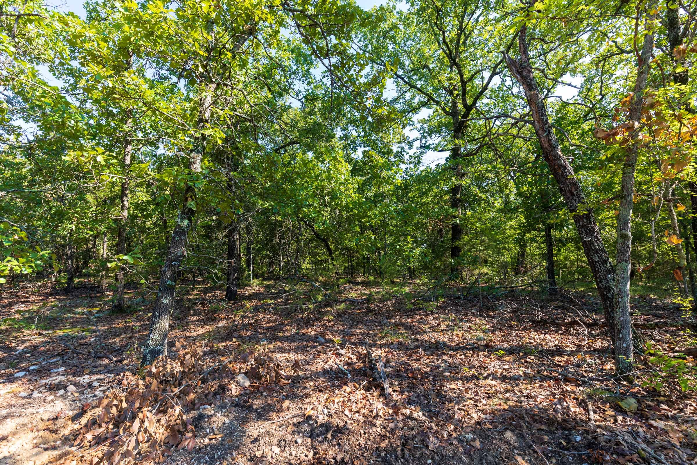 Heritage Bend Tract 16 photo 6