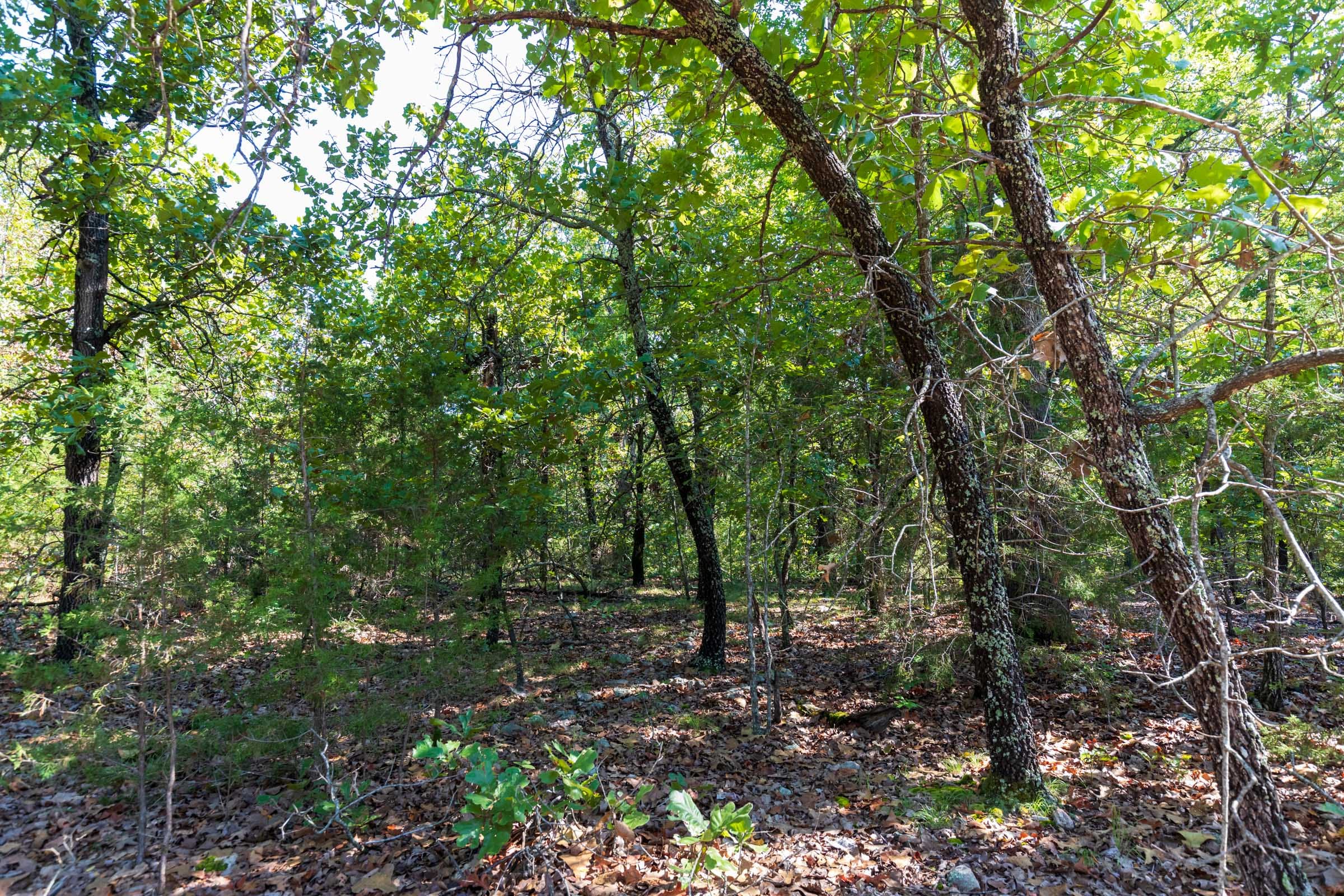Heritage Bend Tract 16 photo 7