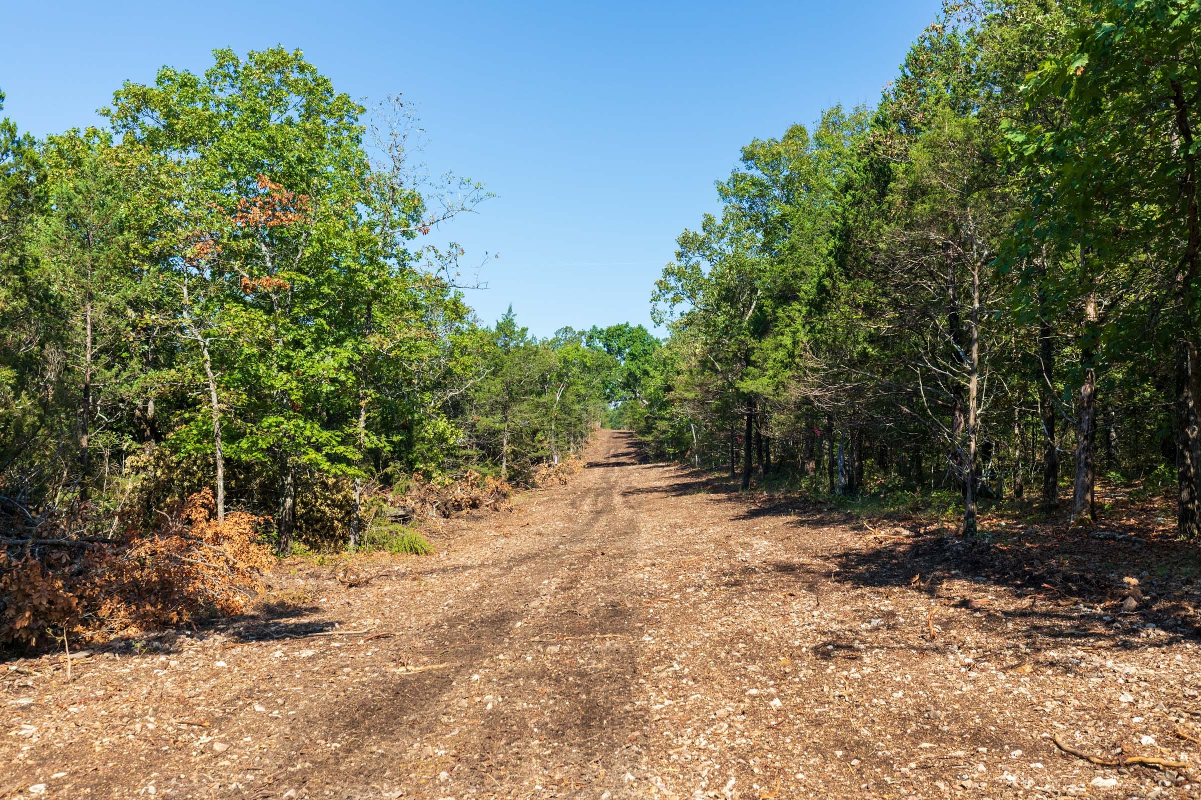 Heritage Bend Tract 16 photo 5