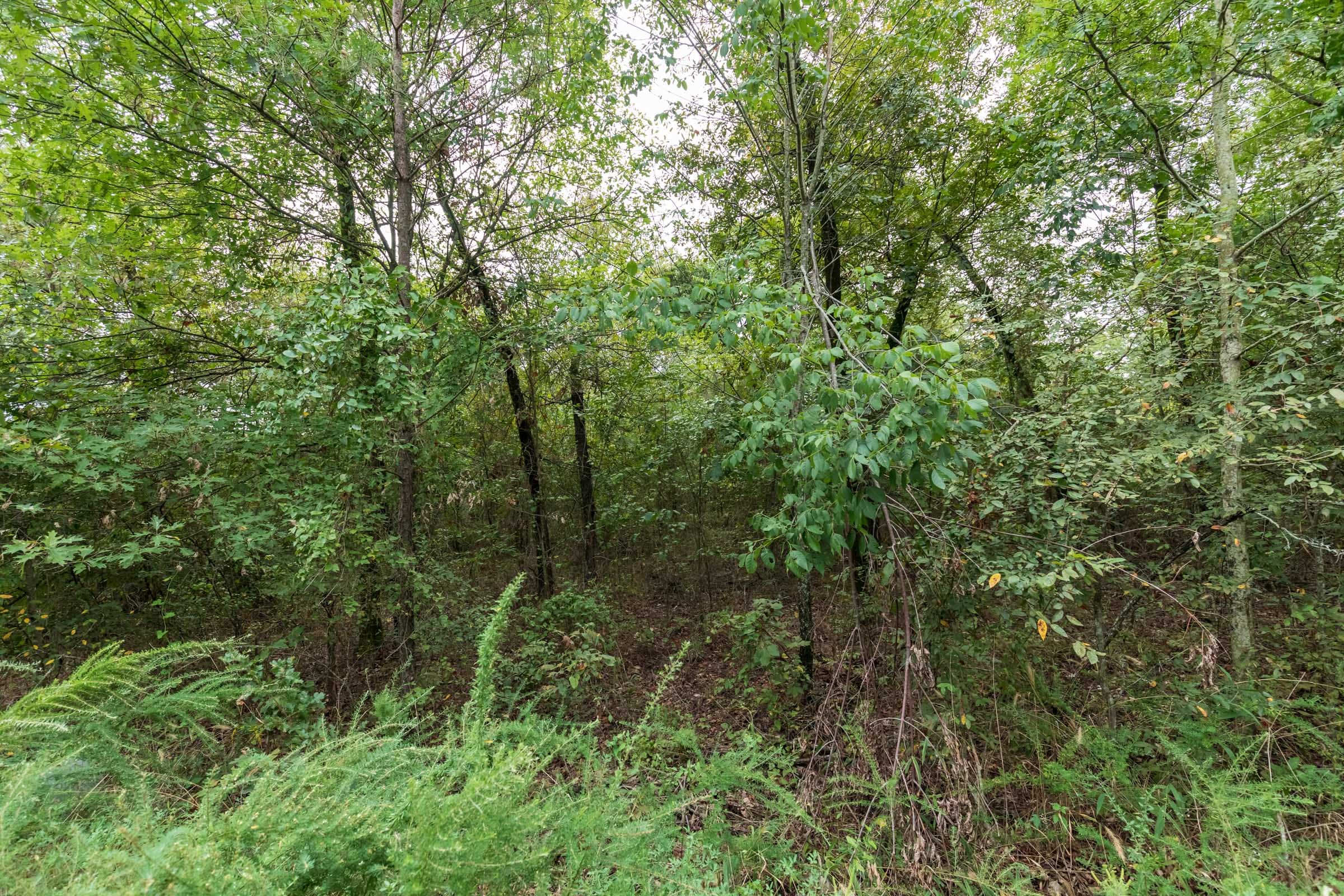 Stone Bridge Phase V Tract 333 photo 6