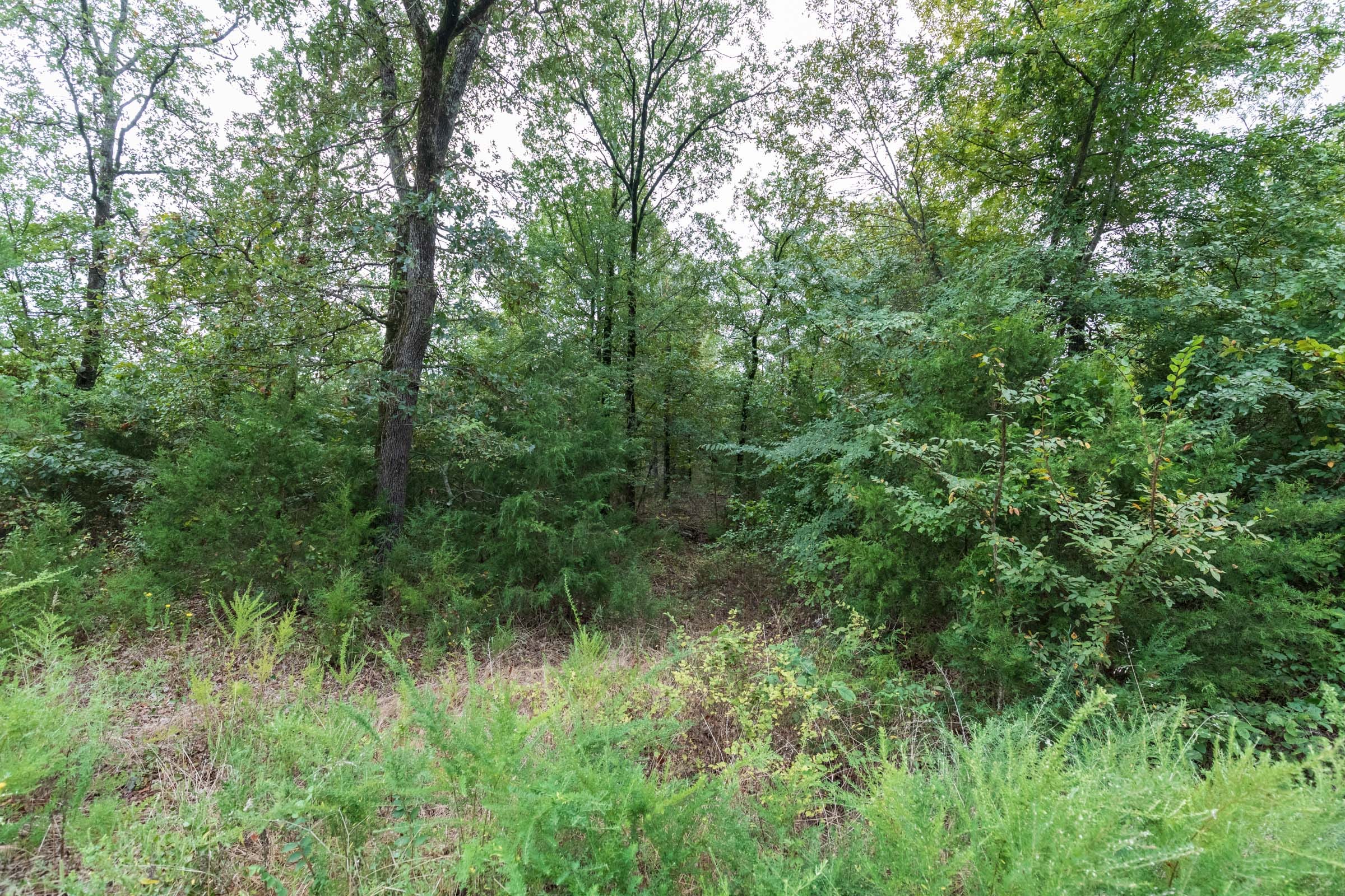 Stone Bridge Phase V Tract 333 photo 8