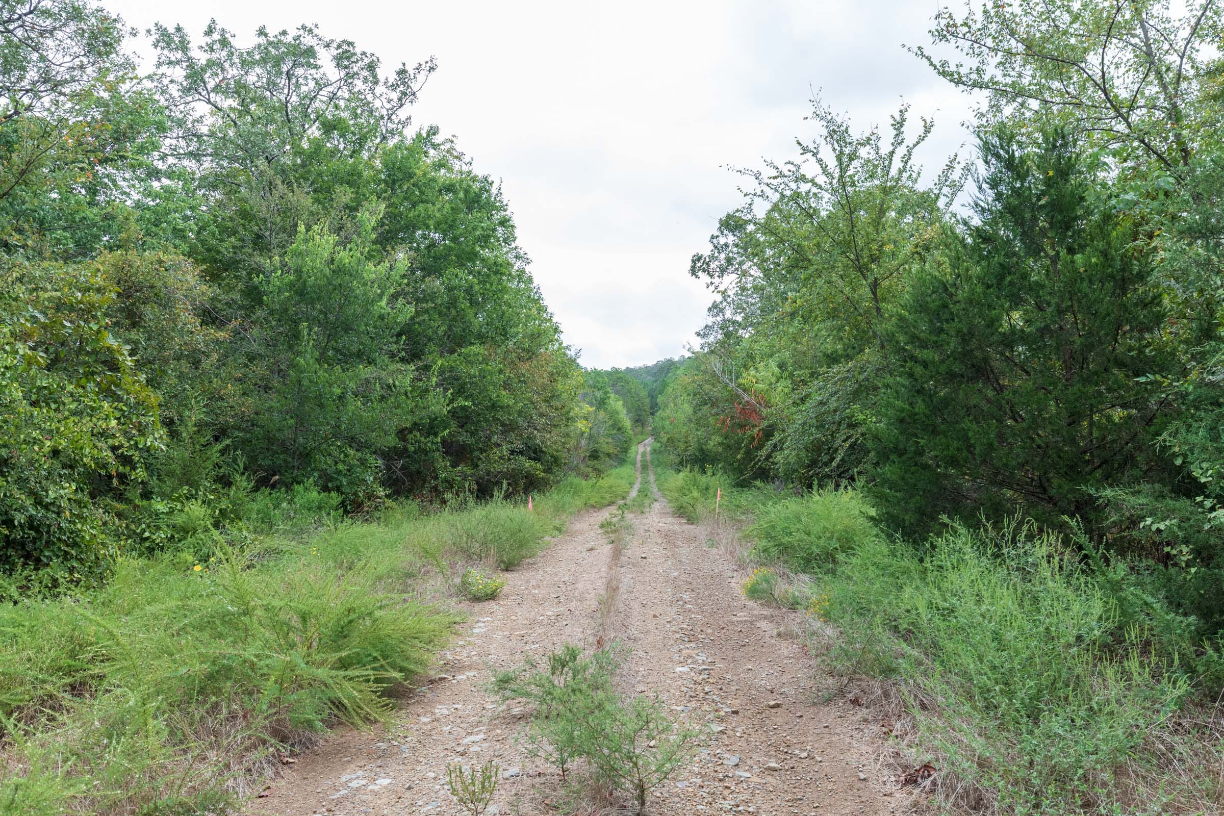 Stone Bridge Phase V Tract 333 photo 11