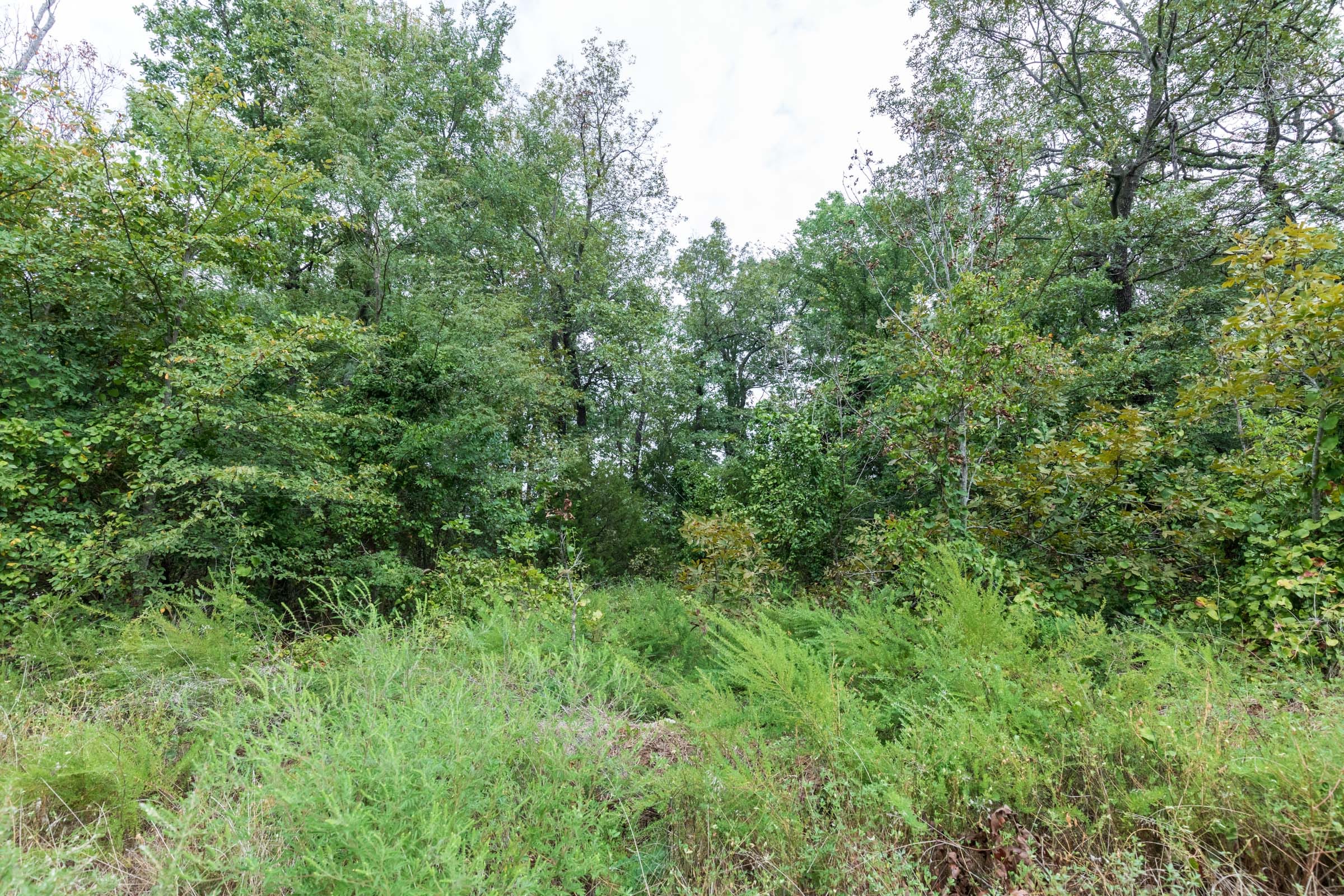 Stone Bridge Phase V Tract 333 photo 14