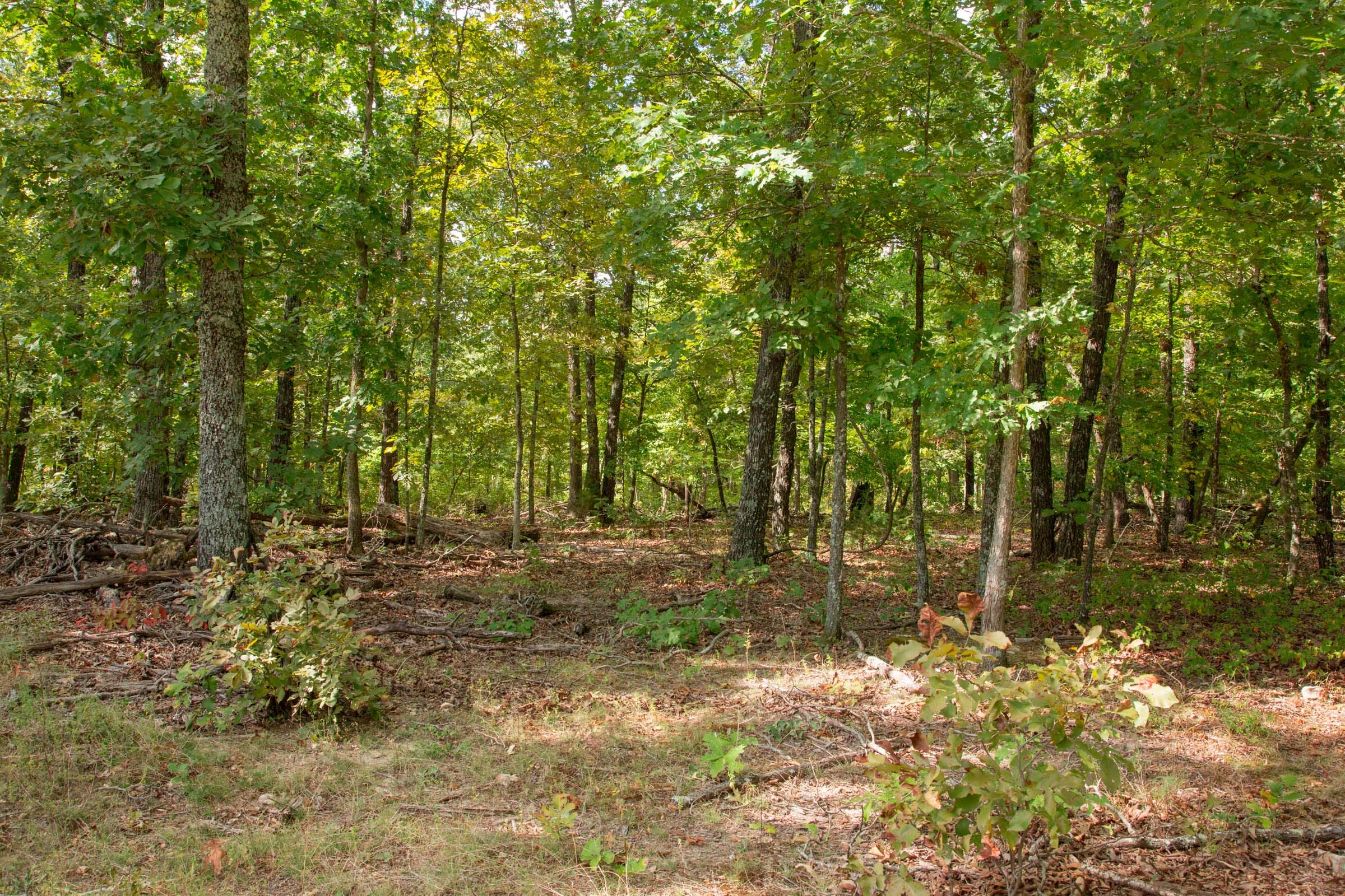 Wagon Wheel Ranch Tract 23 photo 2