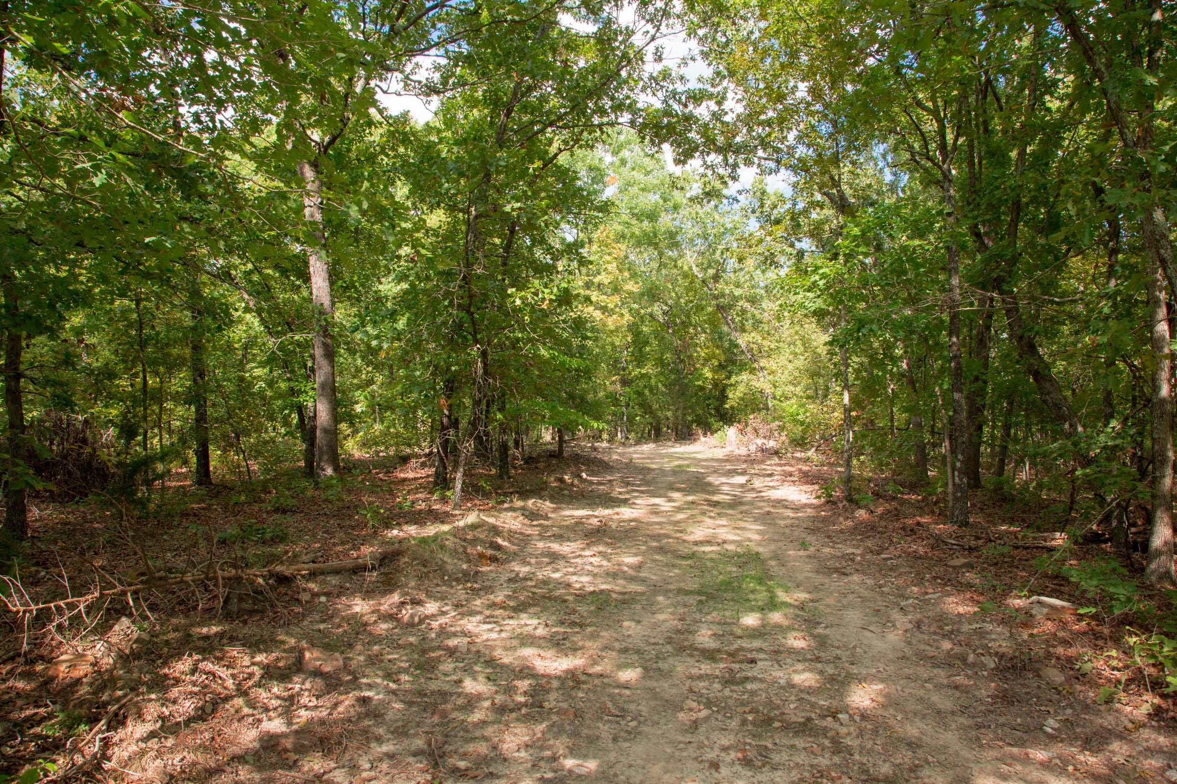 Wagon Wheel Ranch Tract 23 photo 3