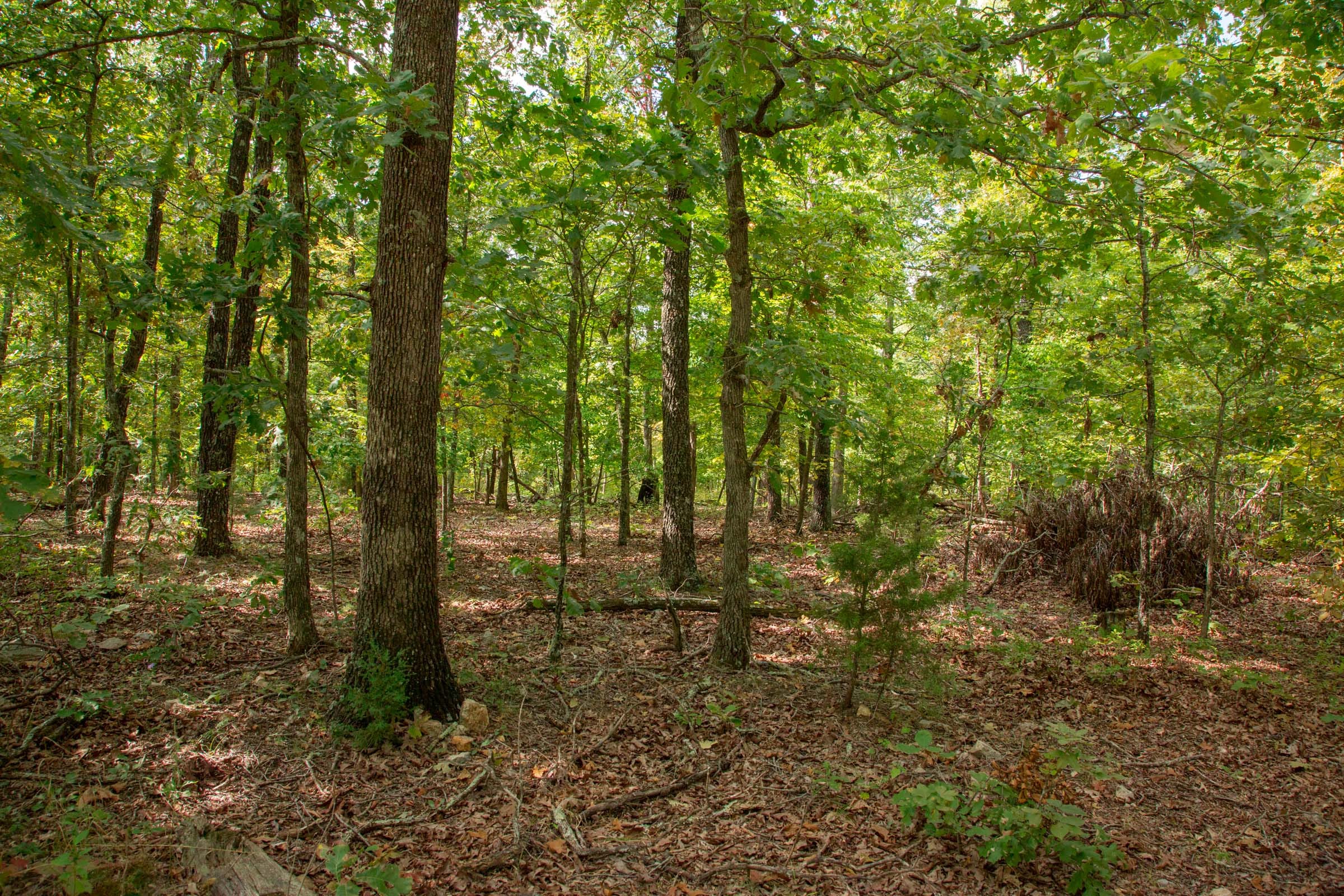 Wagon Wheel Ranch Tract 23 photo 1