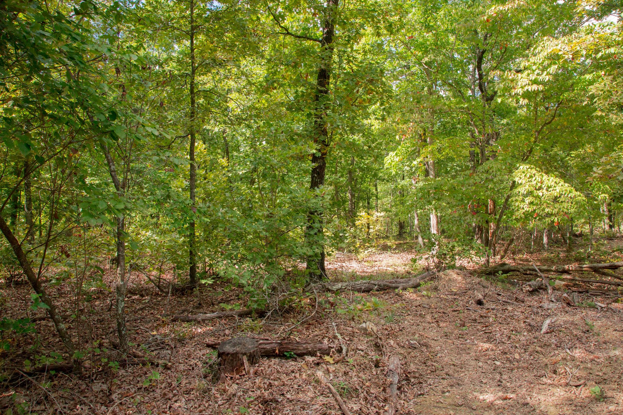 Wagon Wheel Ranch Tract 23 photo 4