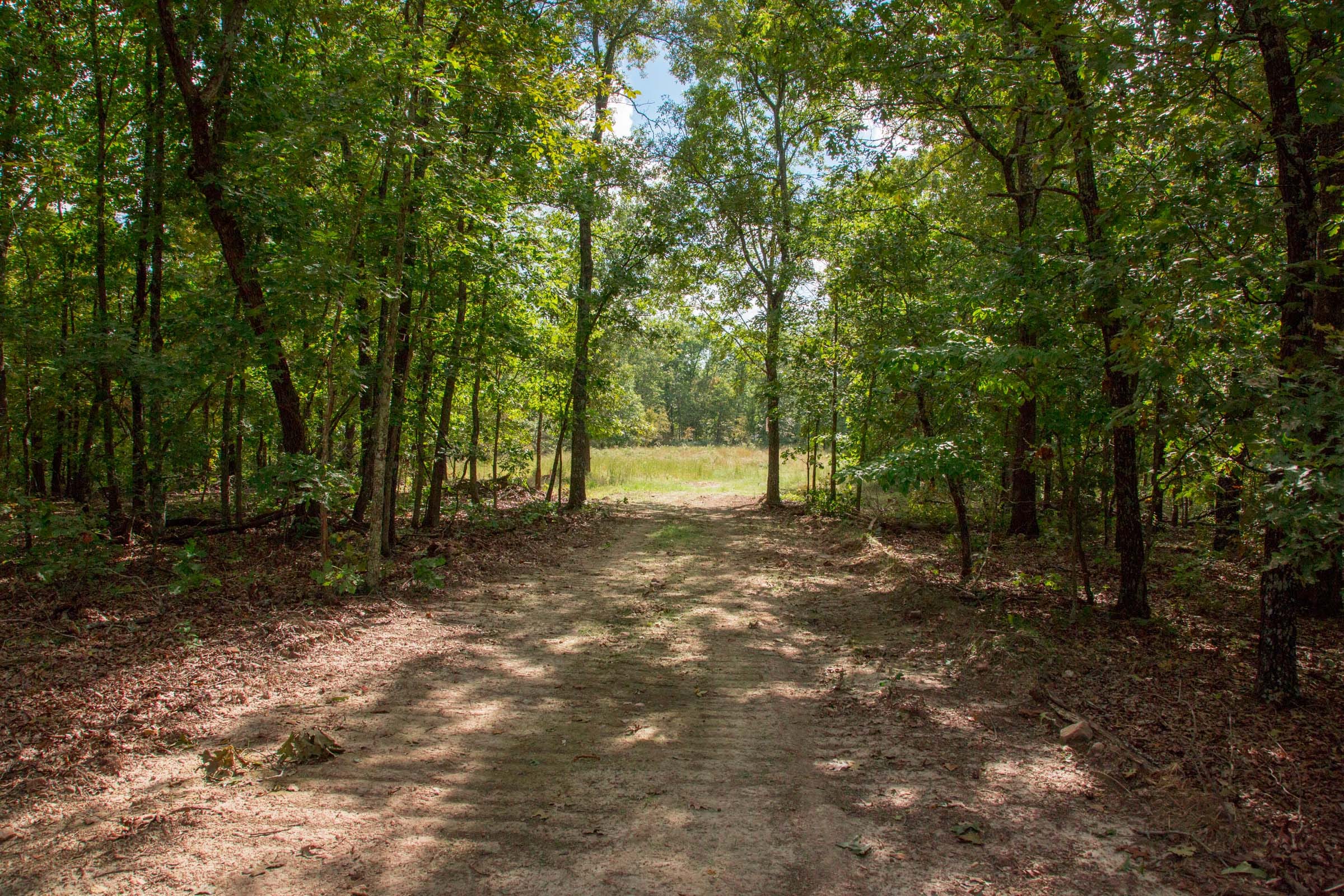 Wagon Wheel Ranch Tract 23 photo 5