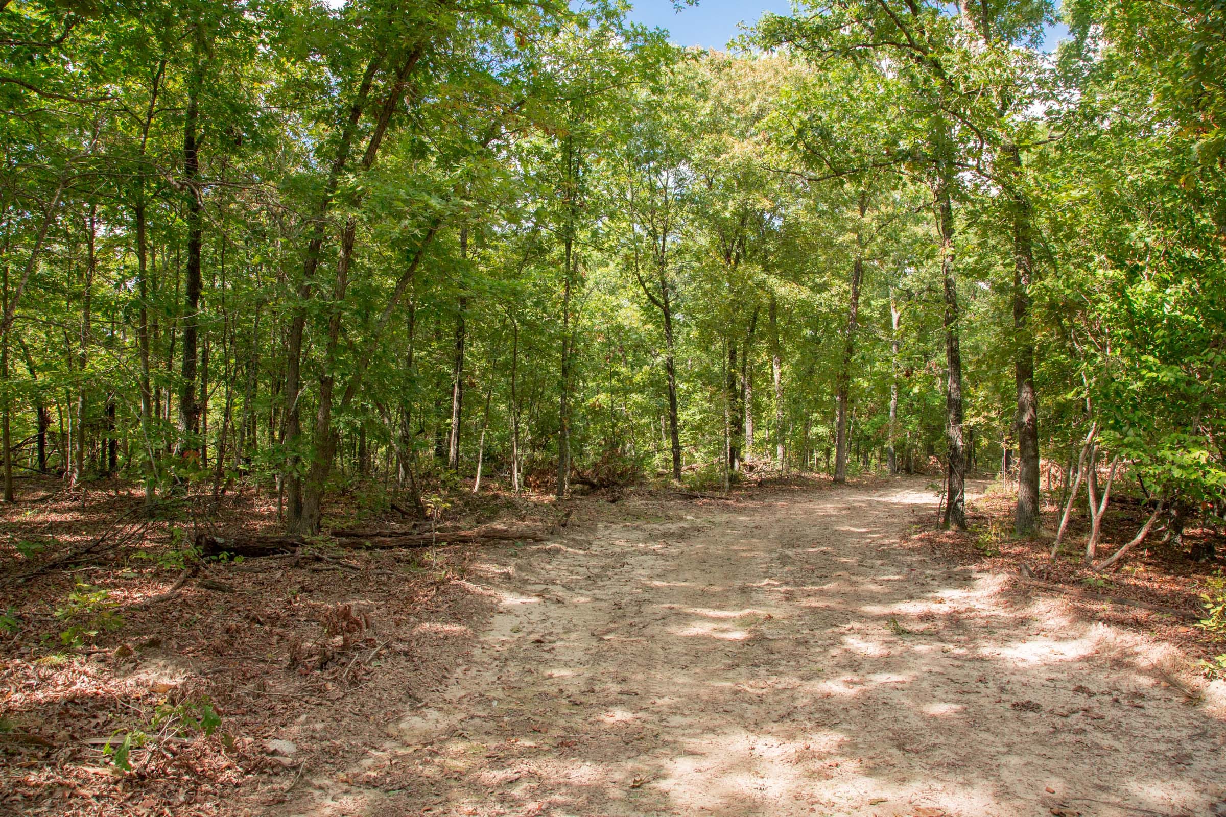 Wagon Wheel Ranch Tract 23 photo 6