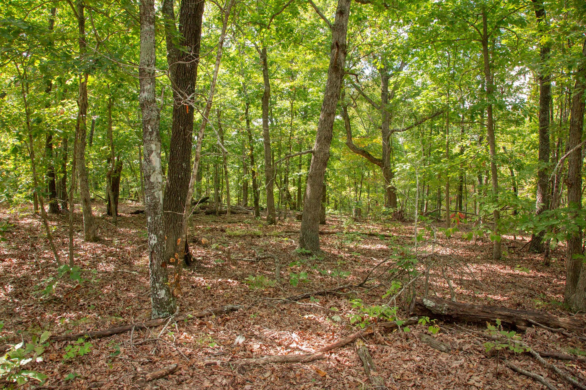 Wagon Wheel Ranch Tract 23 photo 7