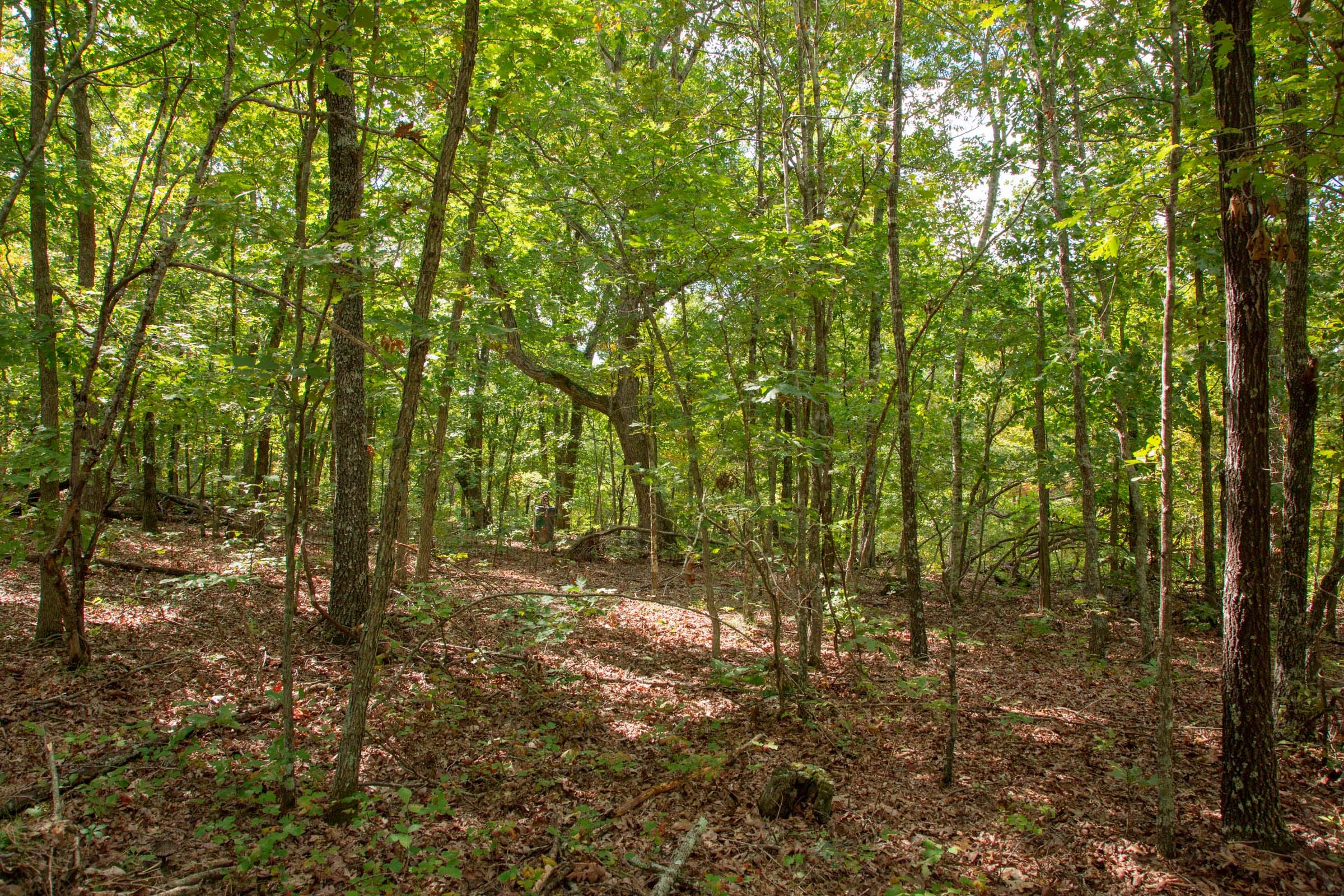 Wagon Wheel Ranch Tract 23 photo 8