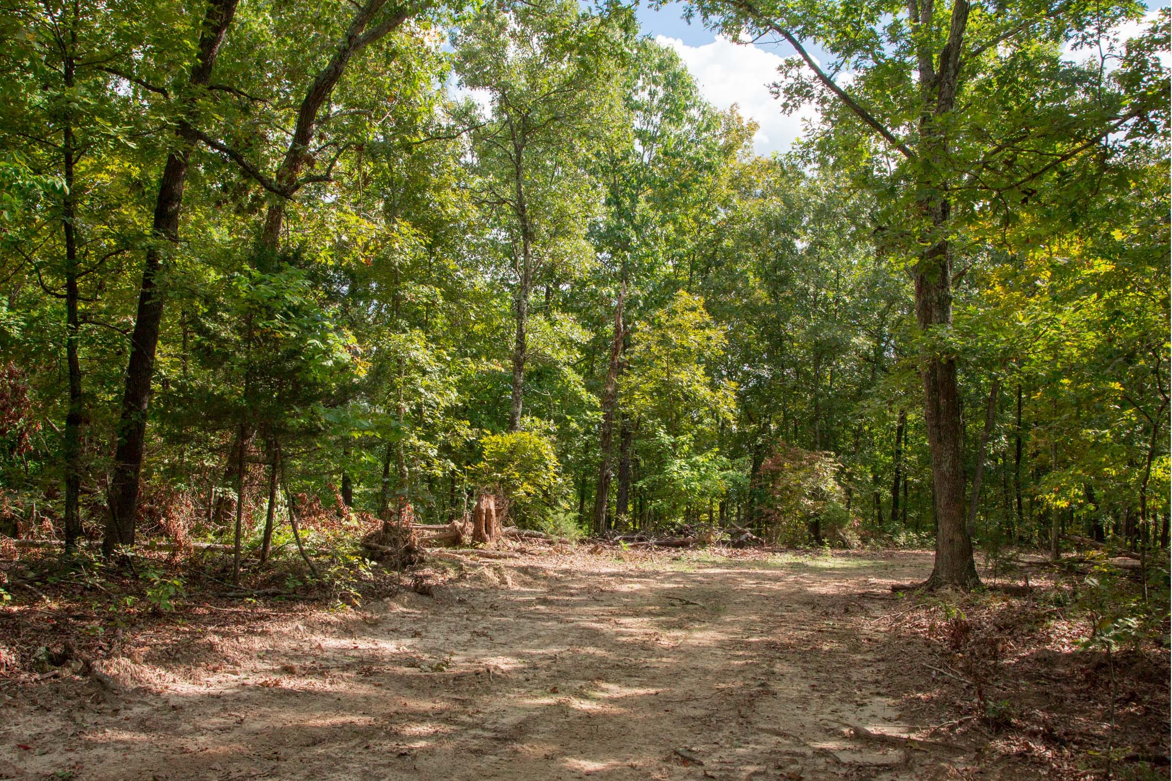 Wagon Wheel Ranch Tract 23 photo 9