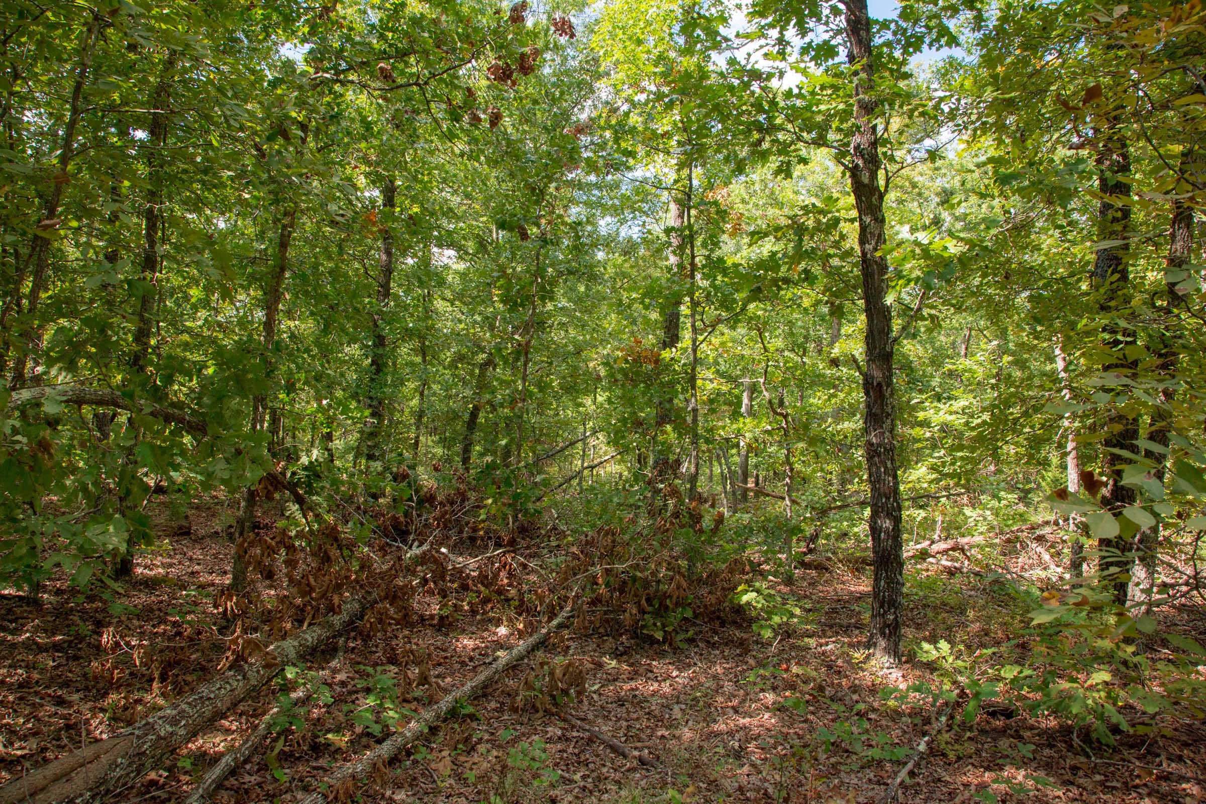 Wagon Wheel Ranch Tract 23 photo 10