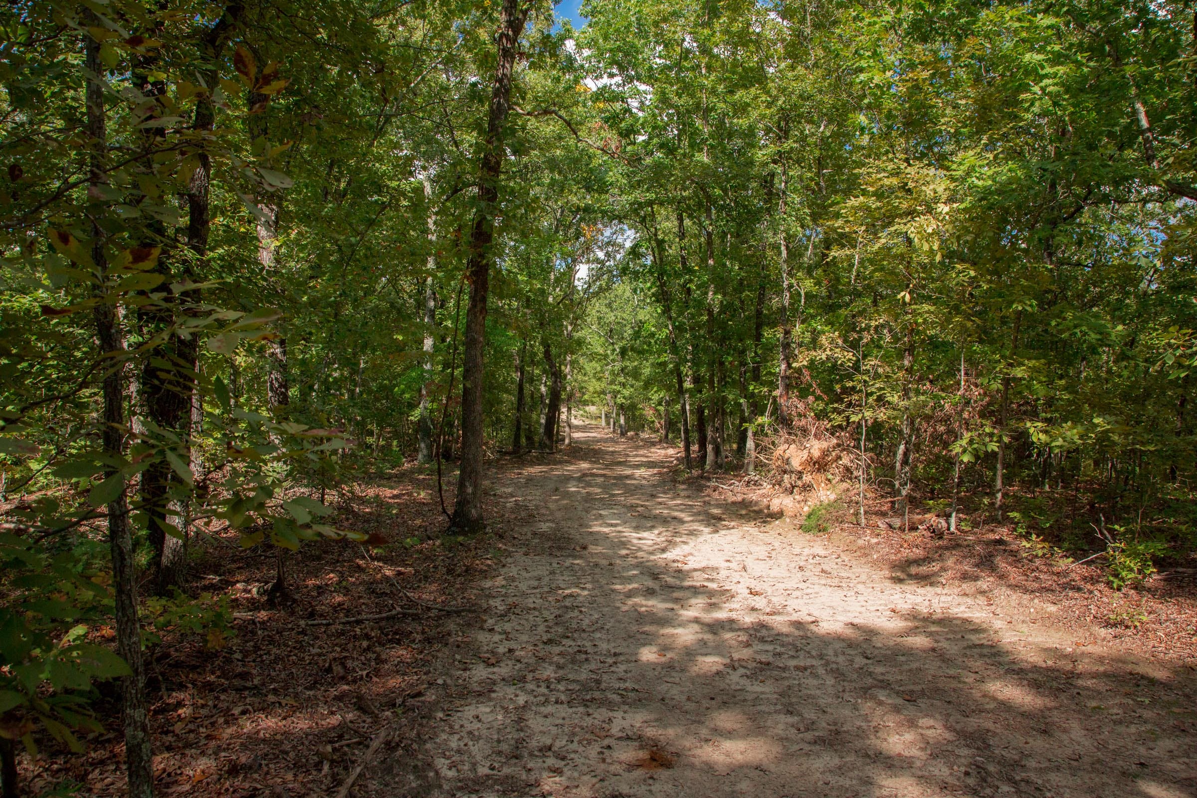 Wagon Wheel Ranch Tract 23 photo 11