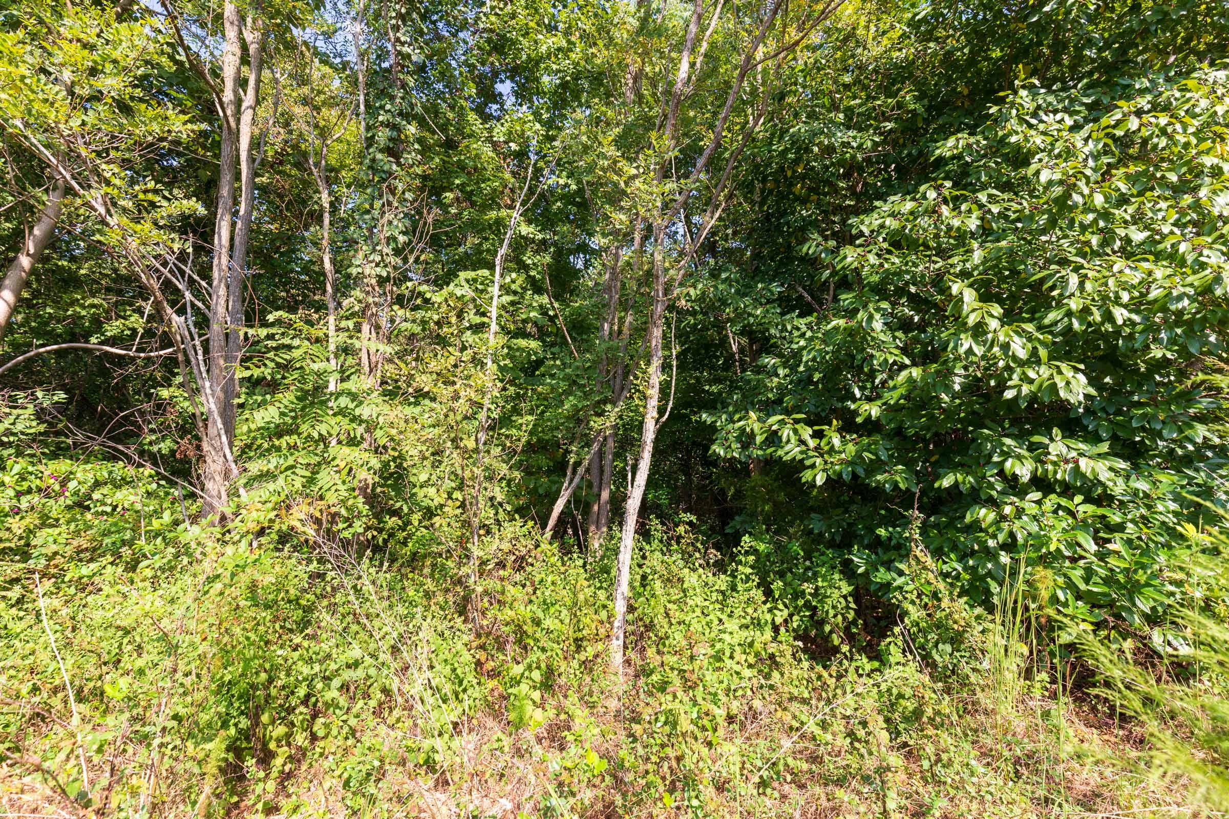 Redemption Ridge Tract 8 photo 7