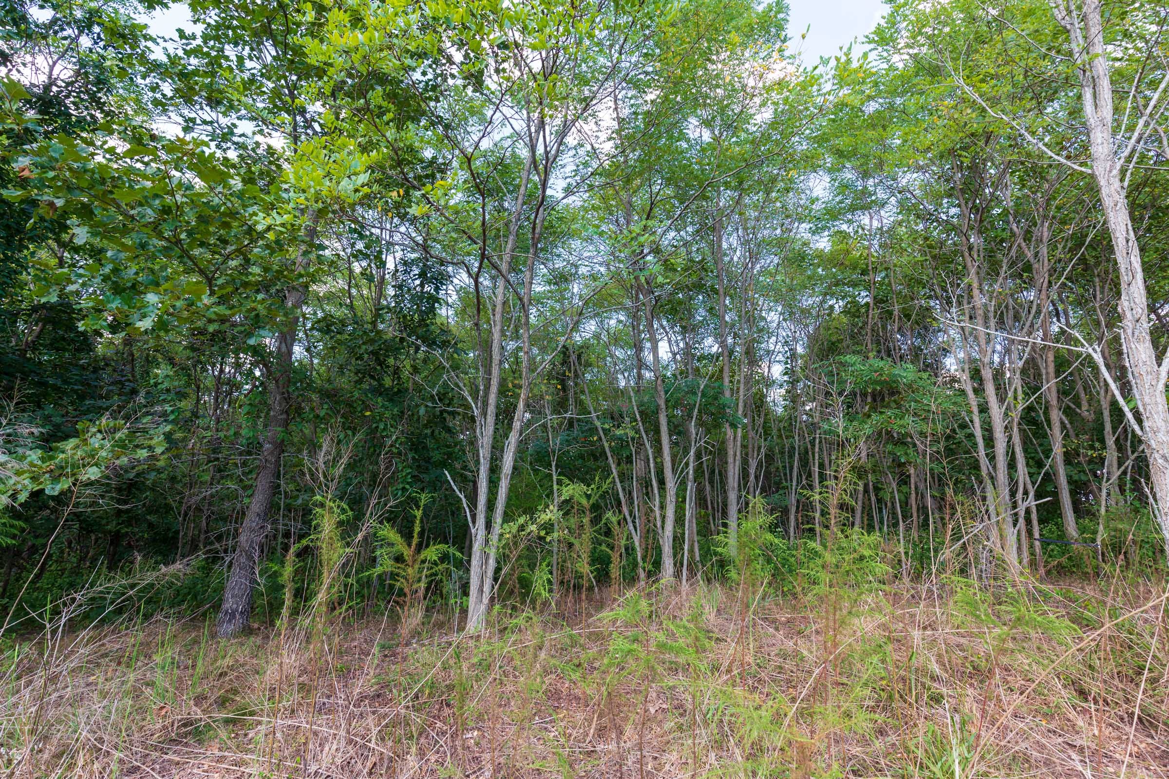 Redemption Ridge Tract 8 photo 6