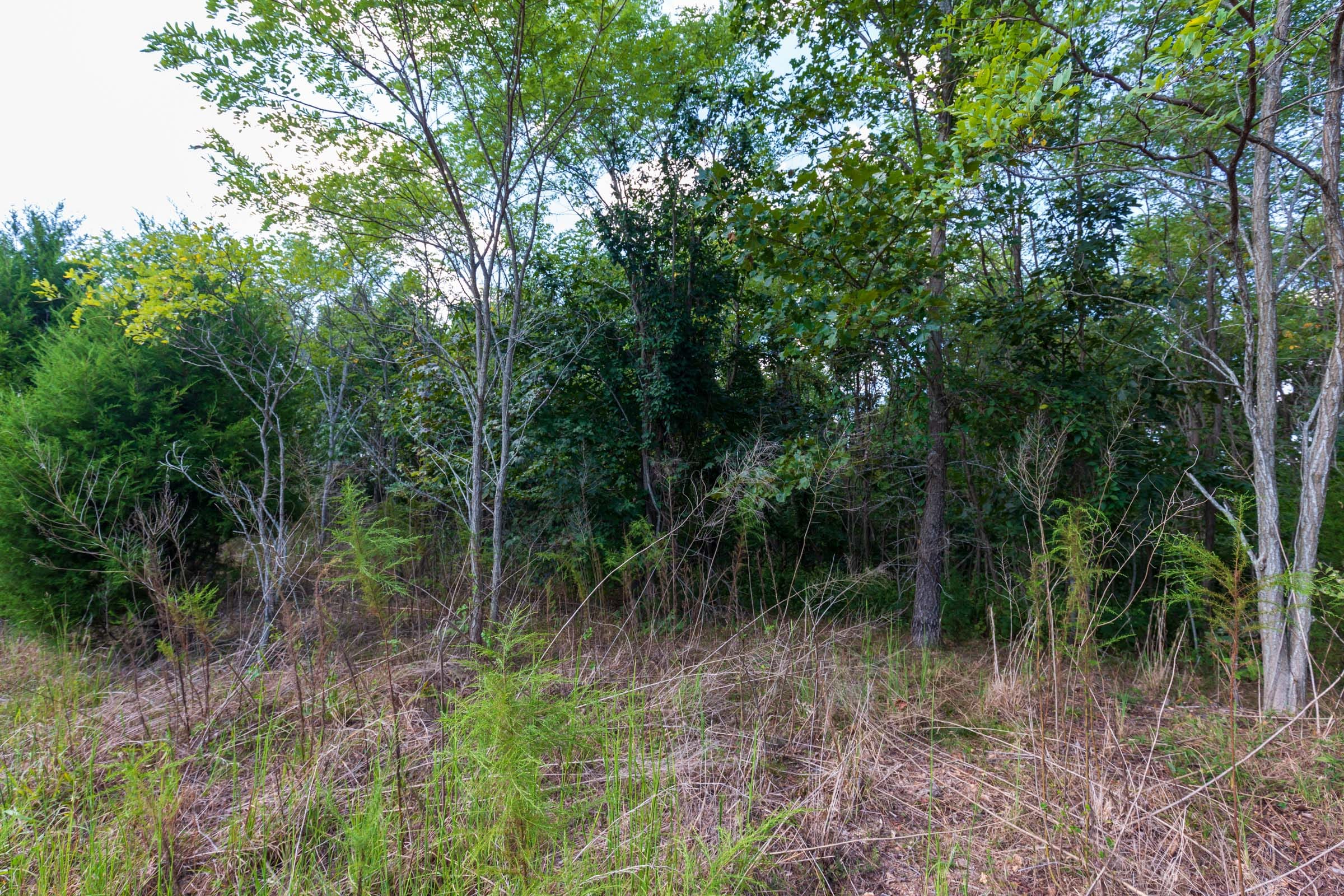 Redemption Ridge Tract 8 photo 8