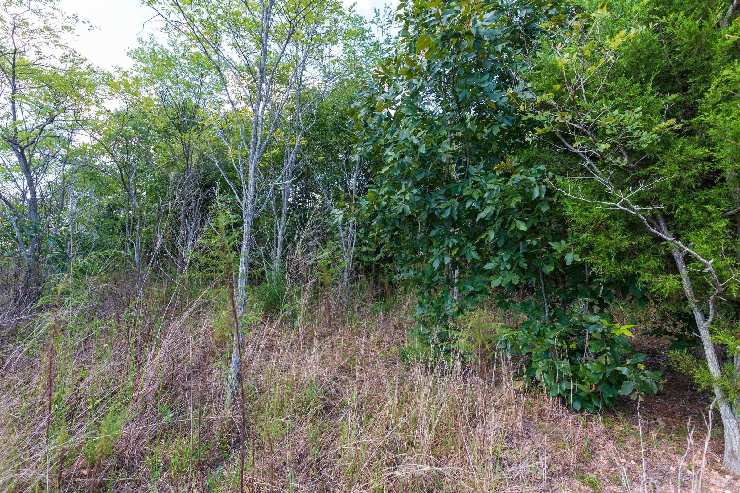 Redemption Ridge Tract 8 photo 10
