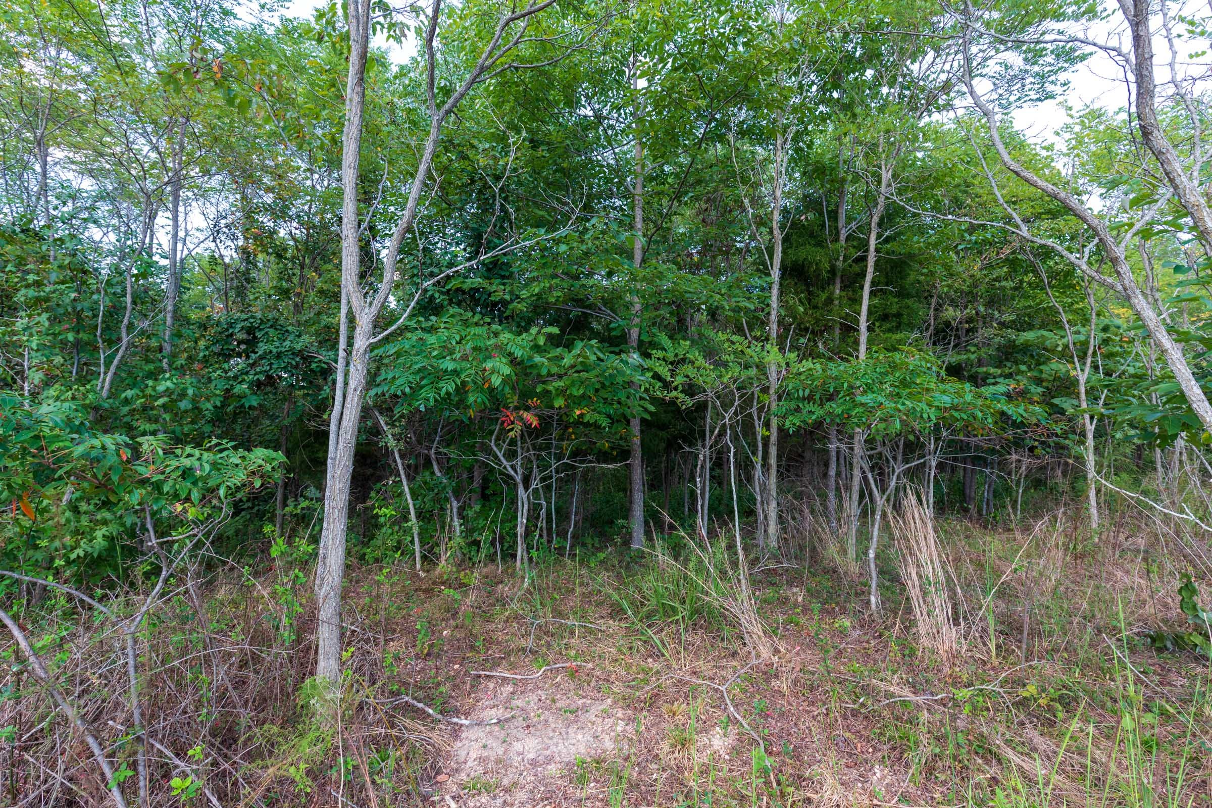 Redemption Ridge Tract 8 photo 12