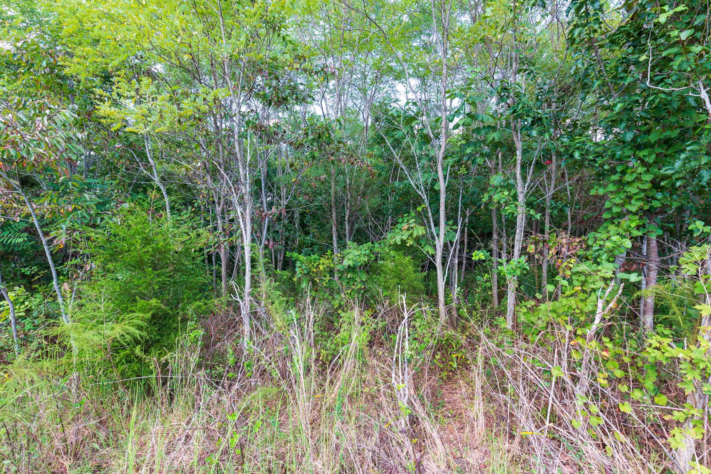 Redemption Ridge Tract 8 photo 15