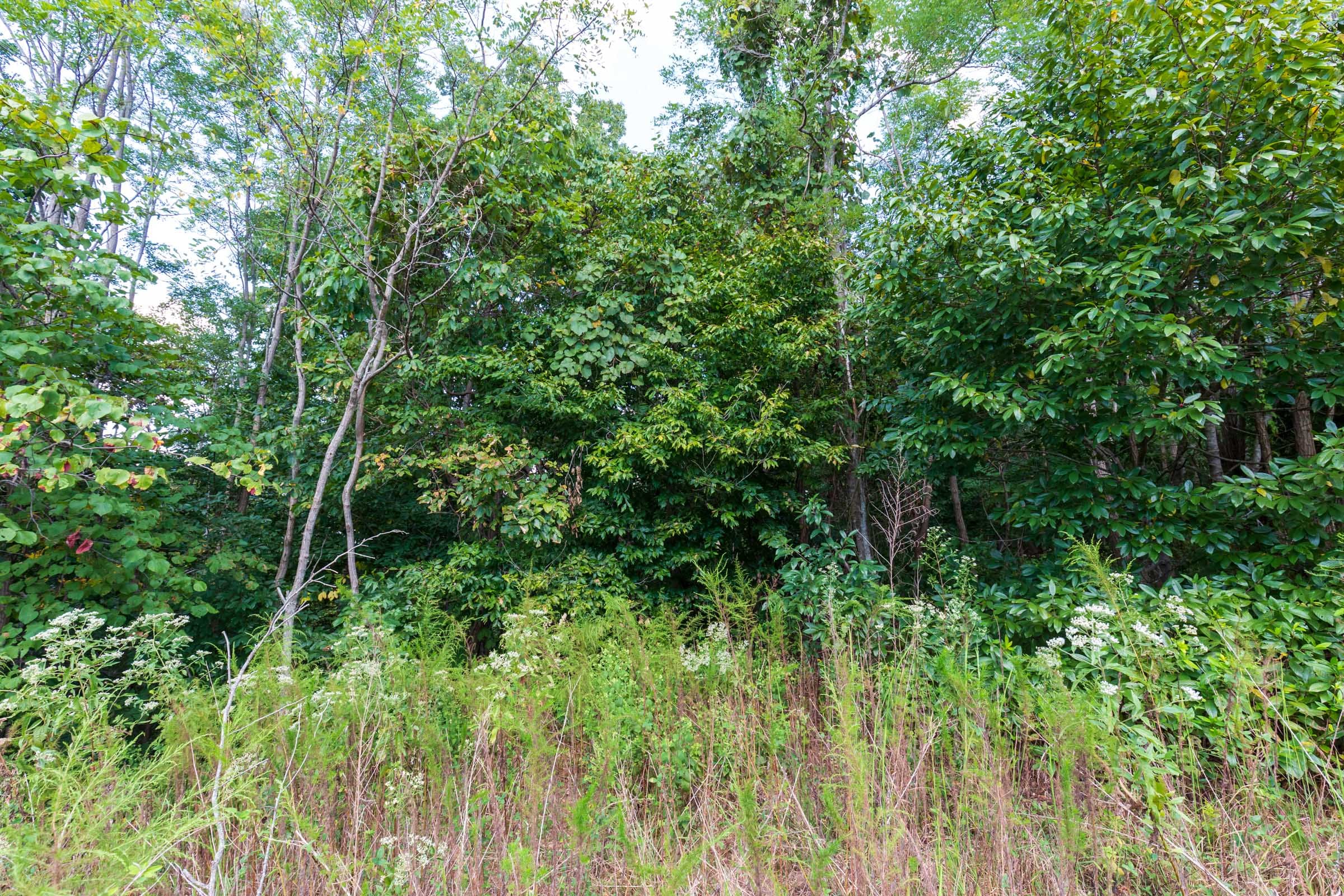 Redemption Ridge Tract 8 photo 17