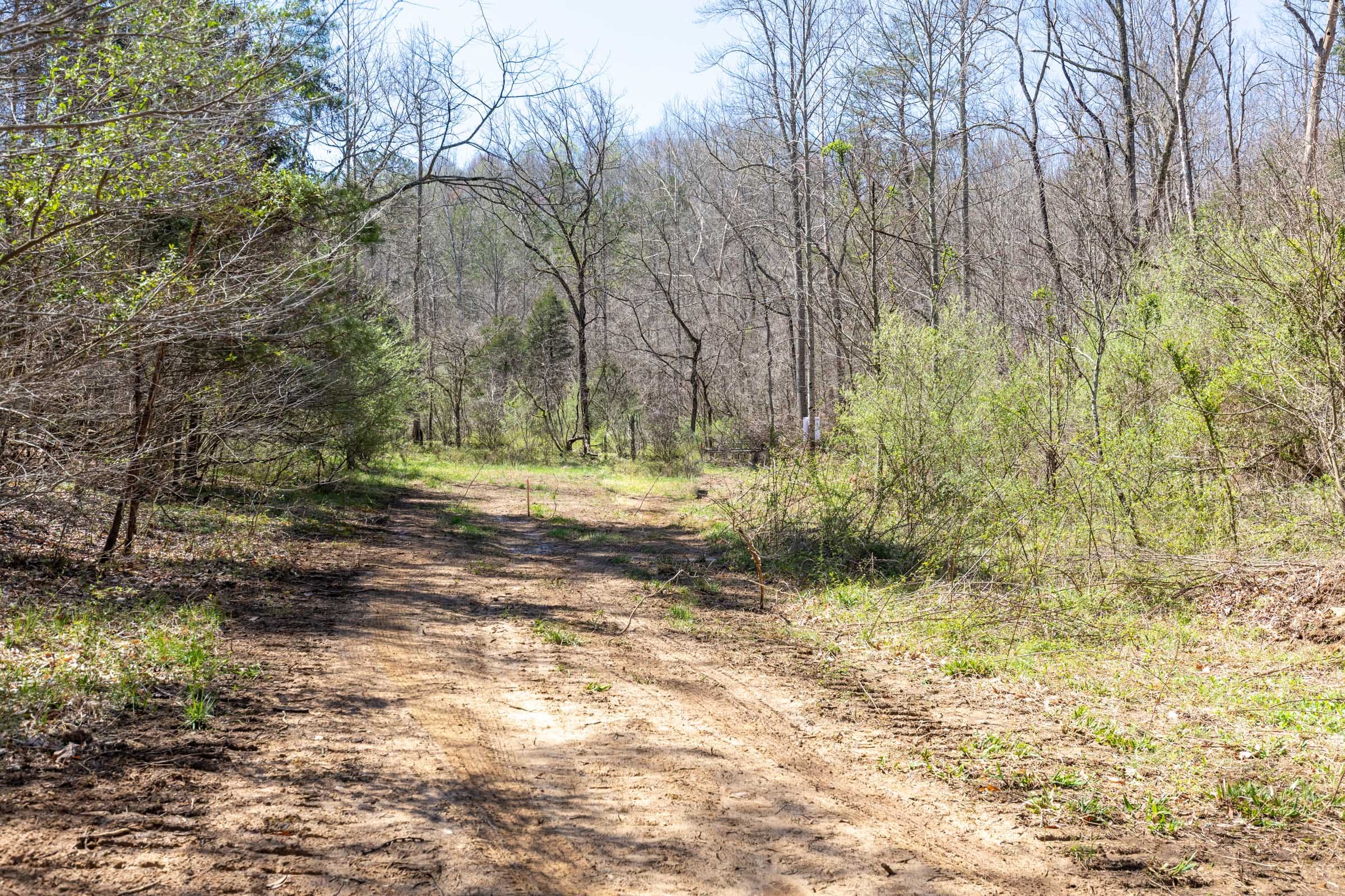 Woodland Heights Tract 5 photo 1