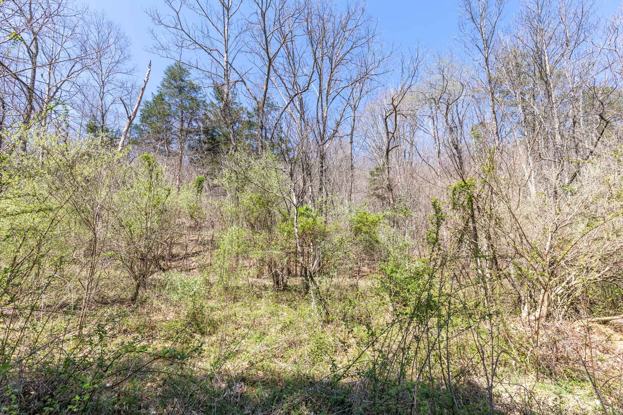 Woodland Heights Tract 5 photo 7