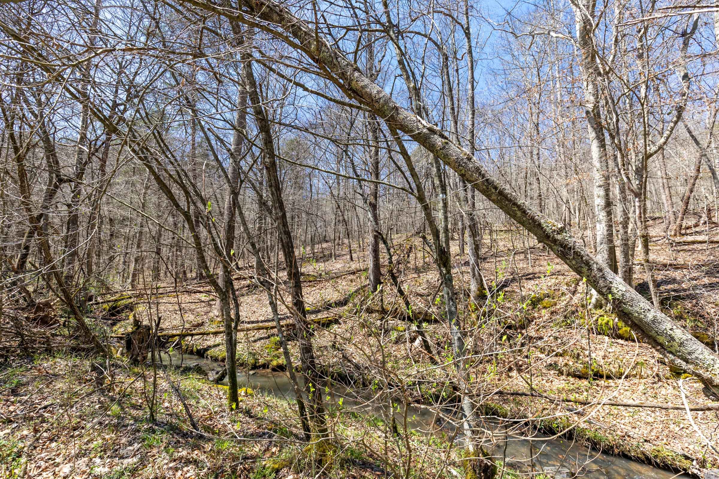 Woodland Heights Tract 5 photo 4